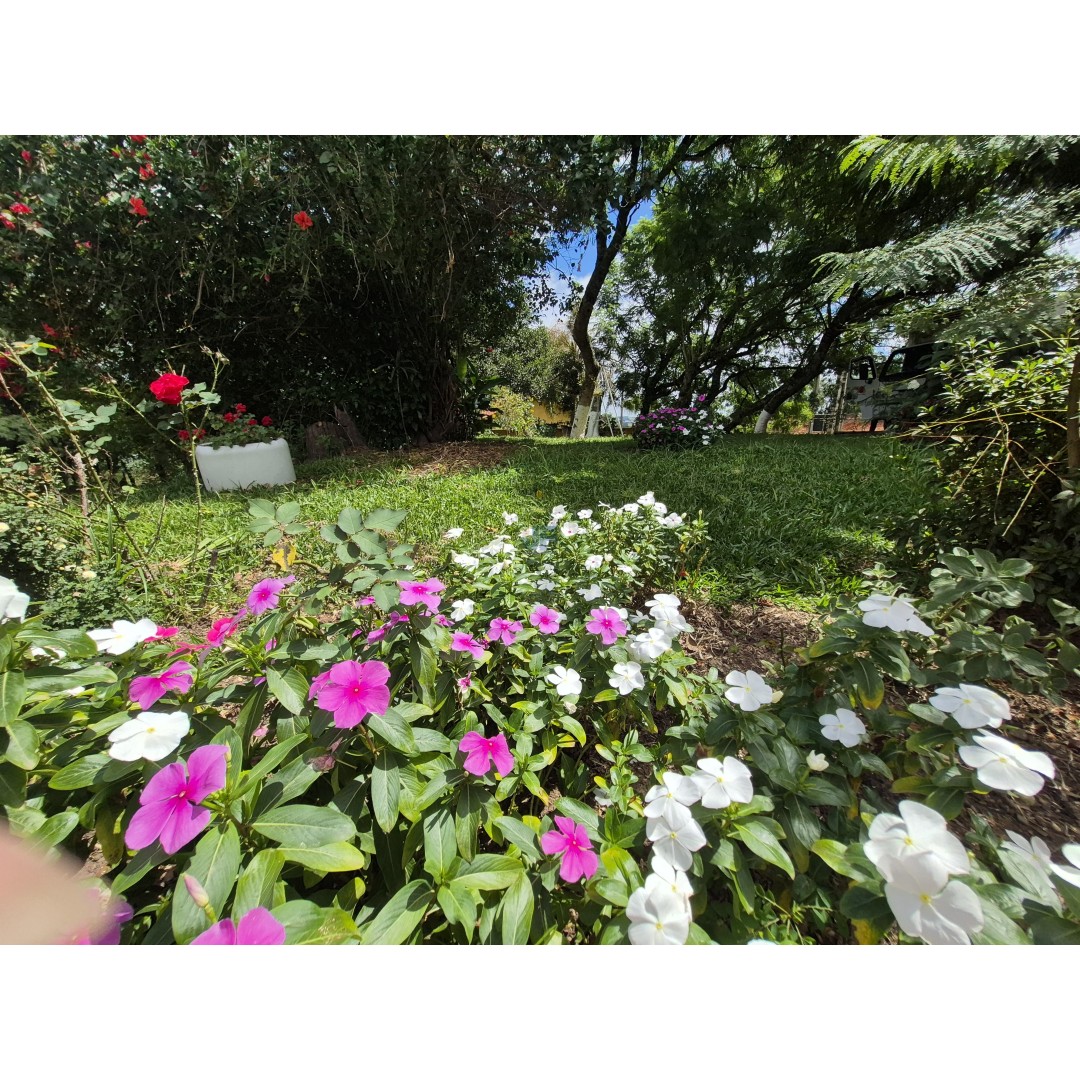 Restaurante à Venda – Palmeira/PR Localização privilegiada: Rodovia BR‑277