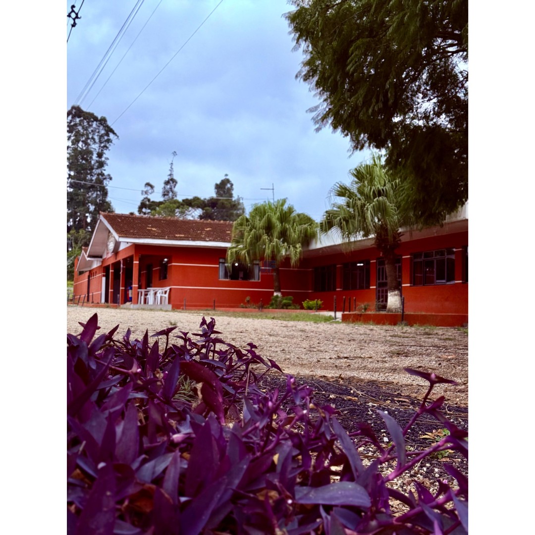 Restaurante à Venda – Palmeira/PR Localização privilegiada: Rodovia BR‑277