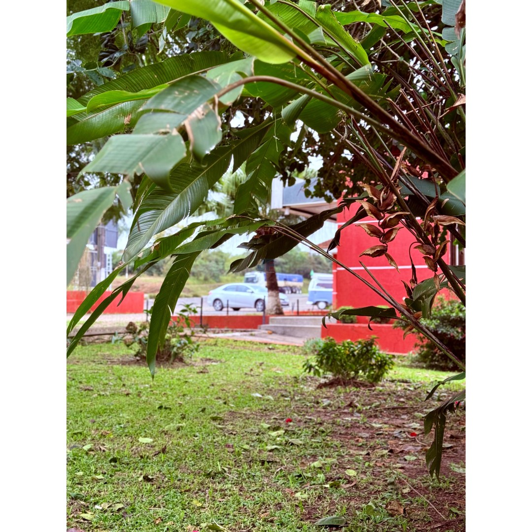 Restaurante à Venda – Palmeira/PR Localização privilegiada: Rodovia BR‑277