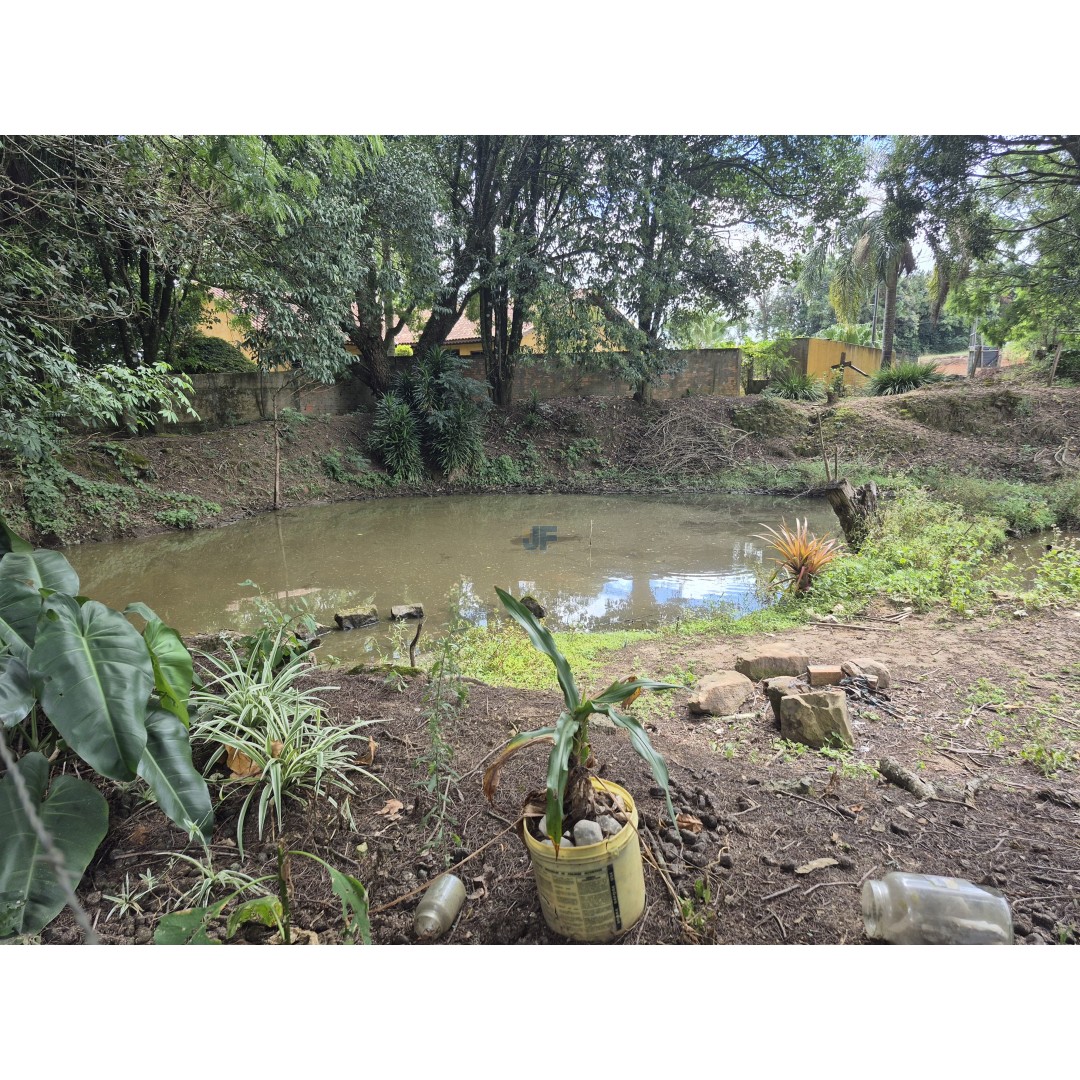 Restaurante à Venda – Palmeira/PR Localização privilegiada: Rodovia BR‑277