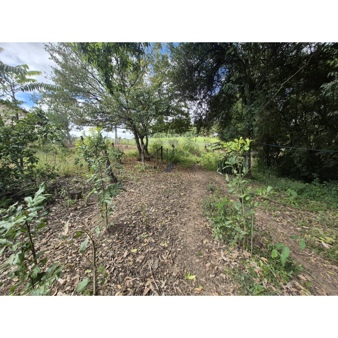 Restaurante à Venda – Palmeira/PR Localização privilegiada: Rodovia BR‑277