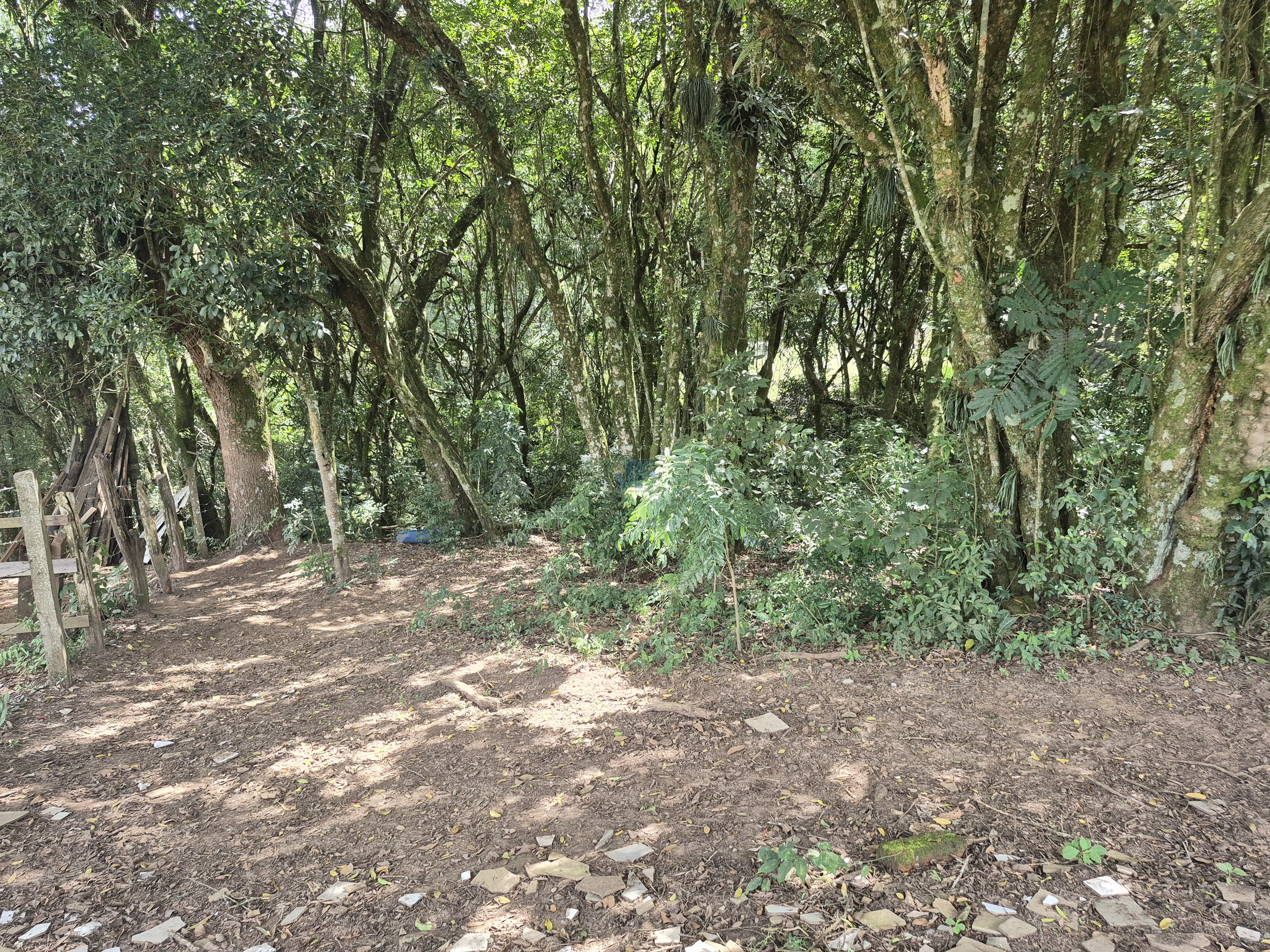 Chácara à Venda – Pugas de Cima, Palmeira/PR Área Total: 5.554,125 m²