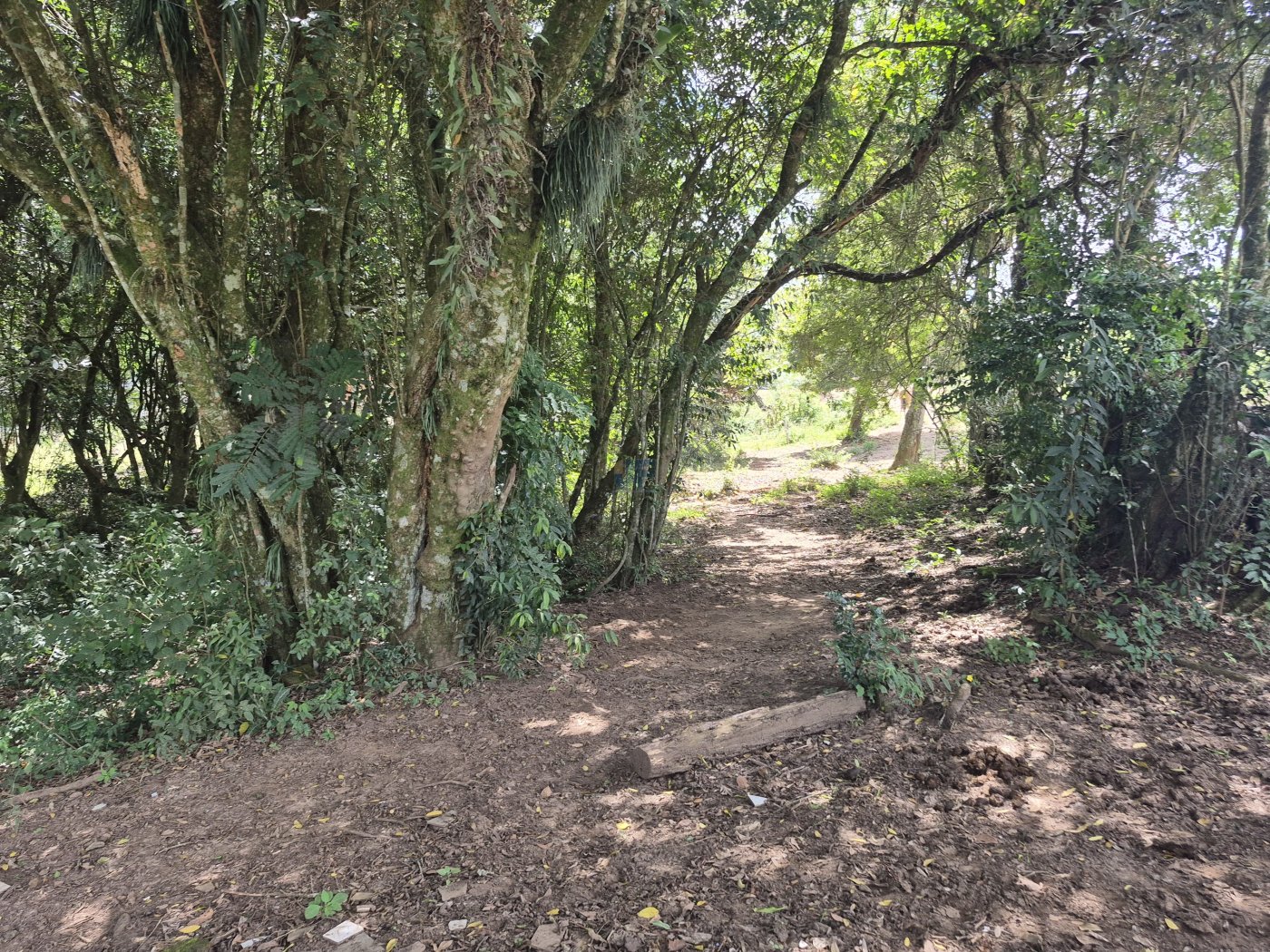 Chácara à Venda – Pugas de Cima, Palmeira/PR Área Total: 5.554,125 m²