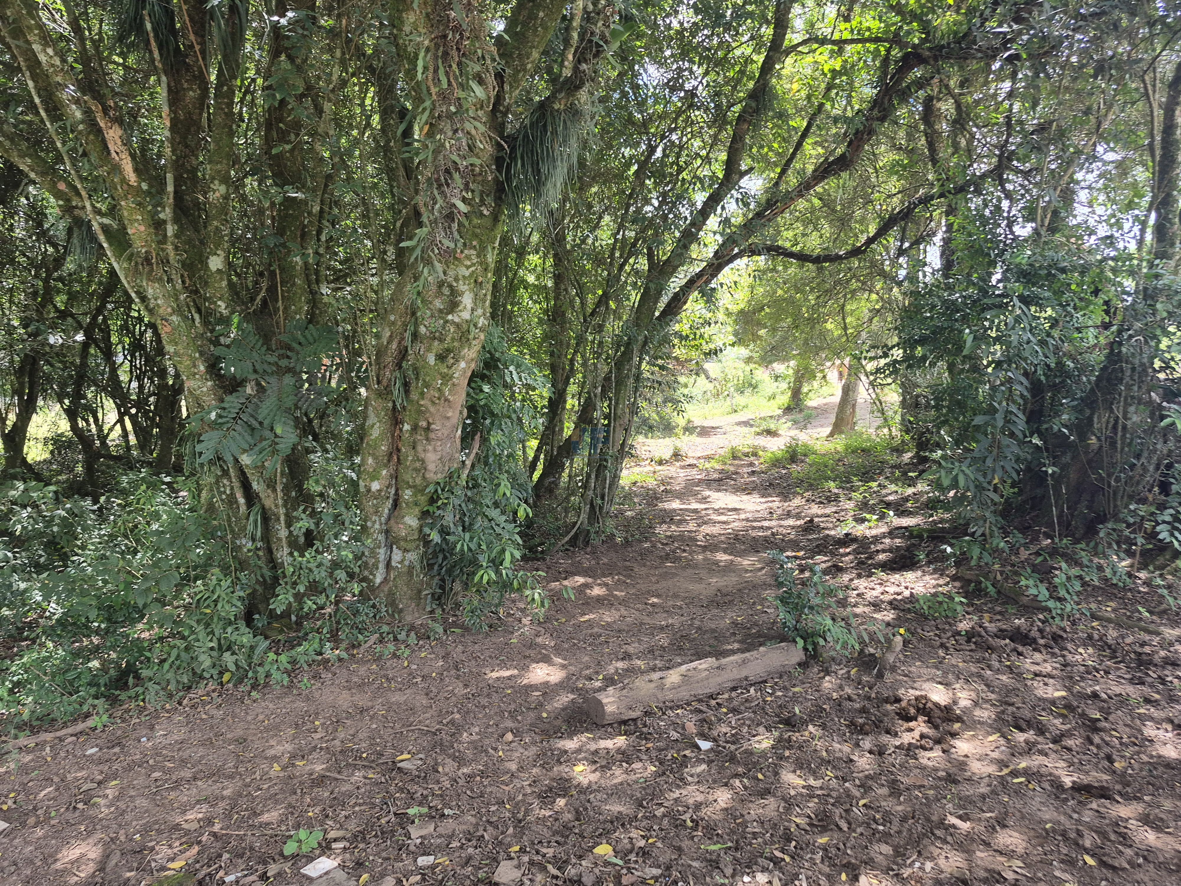 Chácara à Venda – Pugas de Cima, Palmeira/PR Área Total: 5.554,125 m²