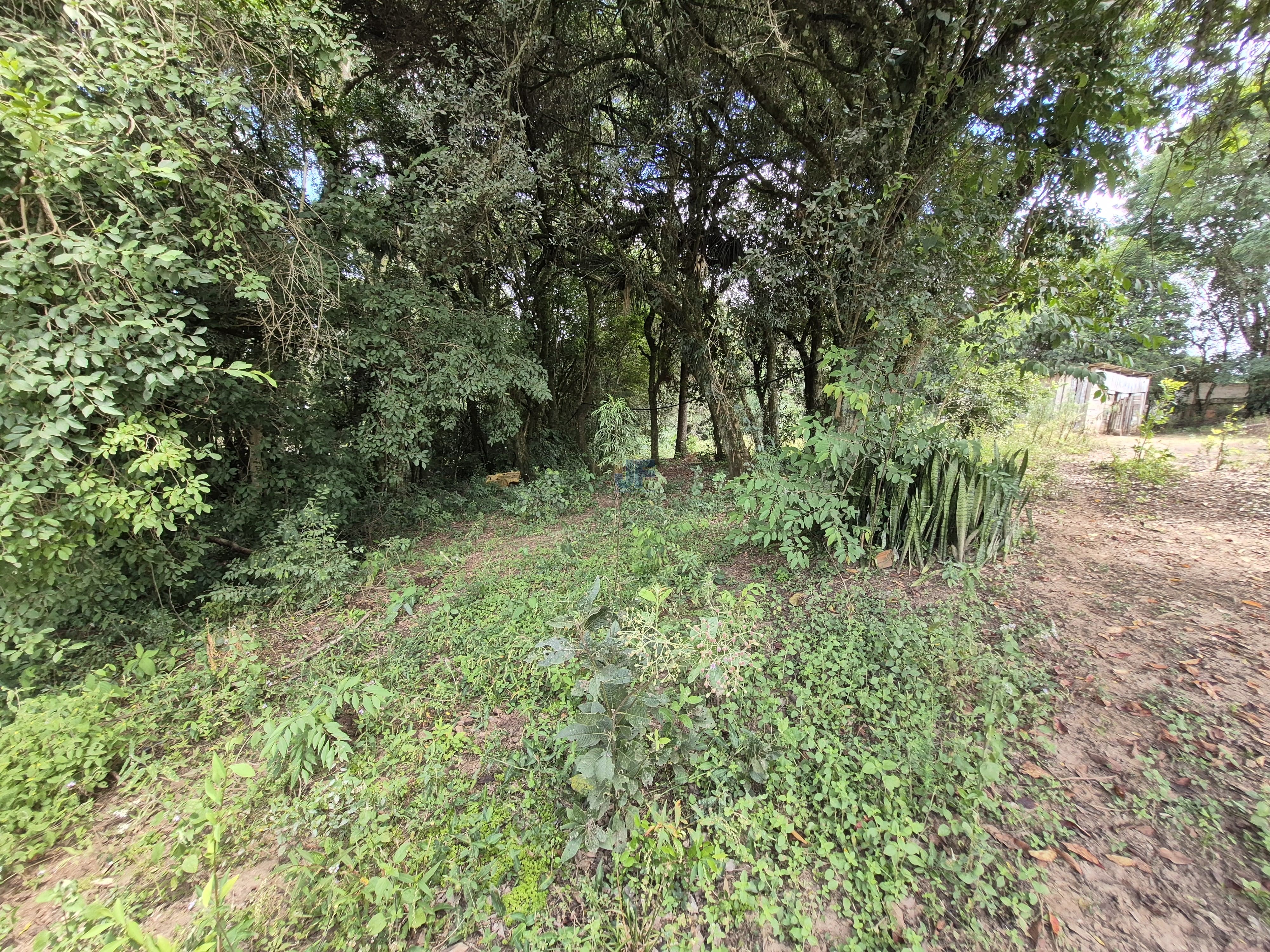 Chácara à Venda – Pugas de Cima, Palmeira/PR Área Total: 5.554,125 m²