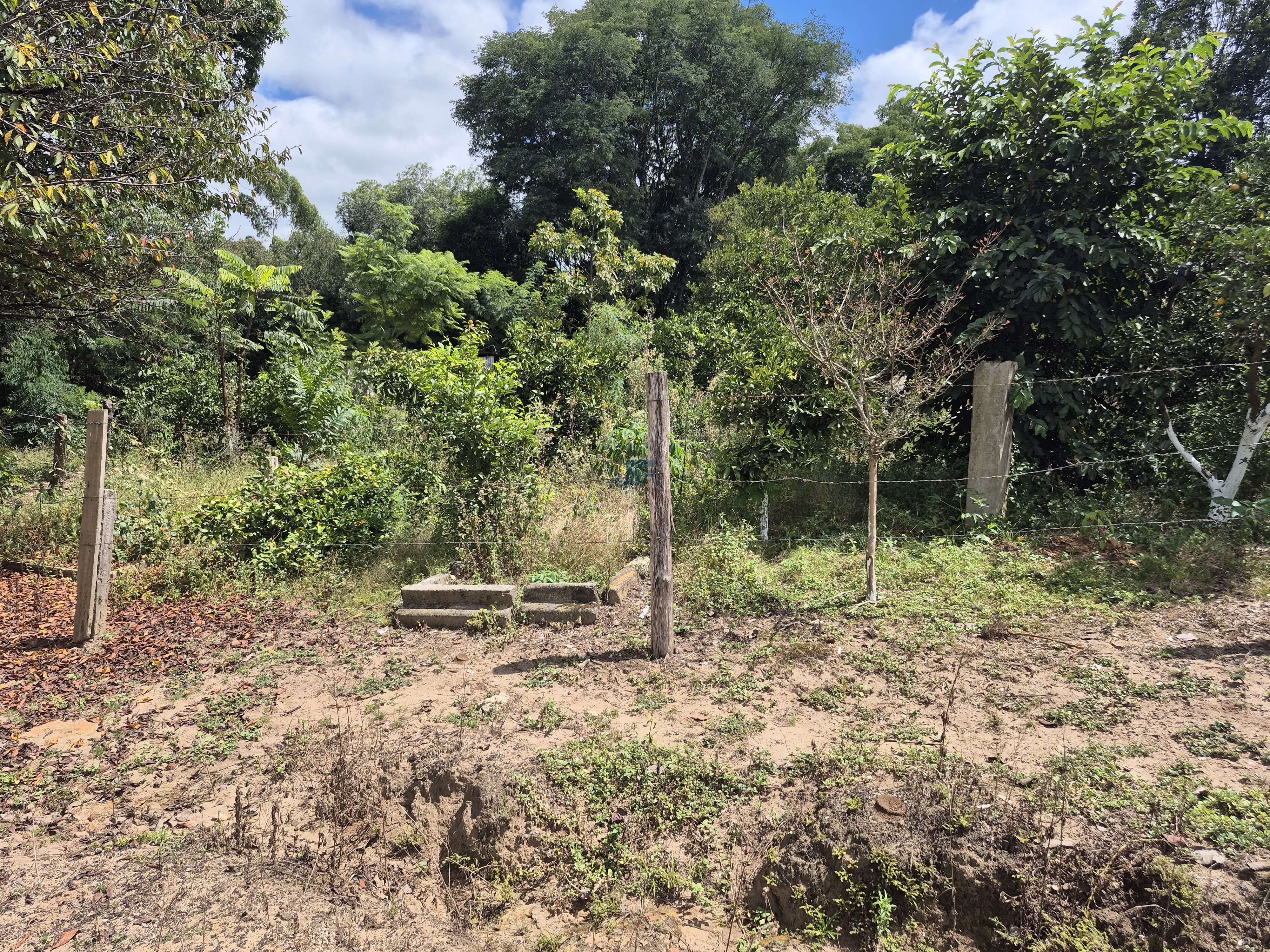 Chácara à Venda – Pugas de Cima, Palmeira/PR Área Total: 5.554,125 m²