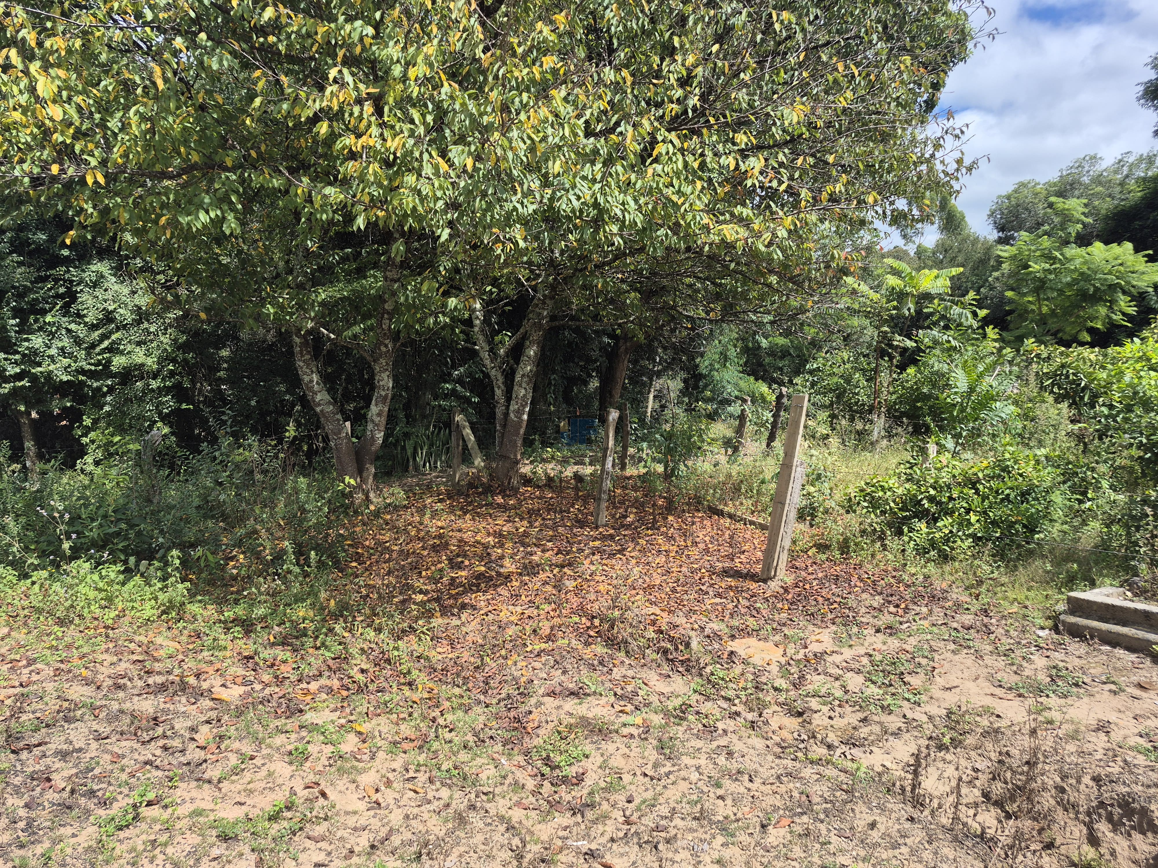 Chácara à Venda – Pugas de Cima, Palmeira/PR Área Total: 5.554,125 m²