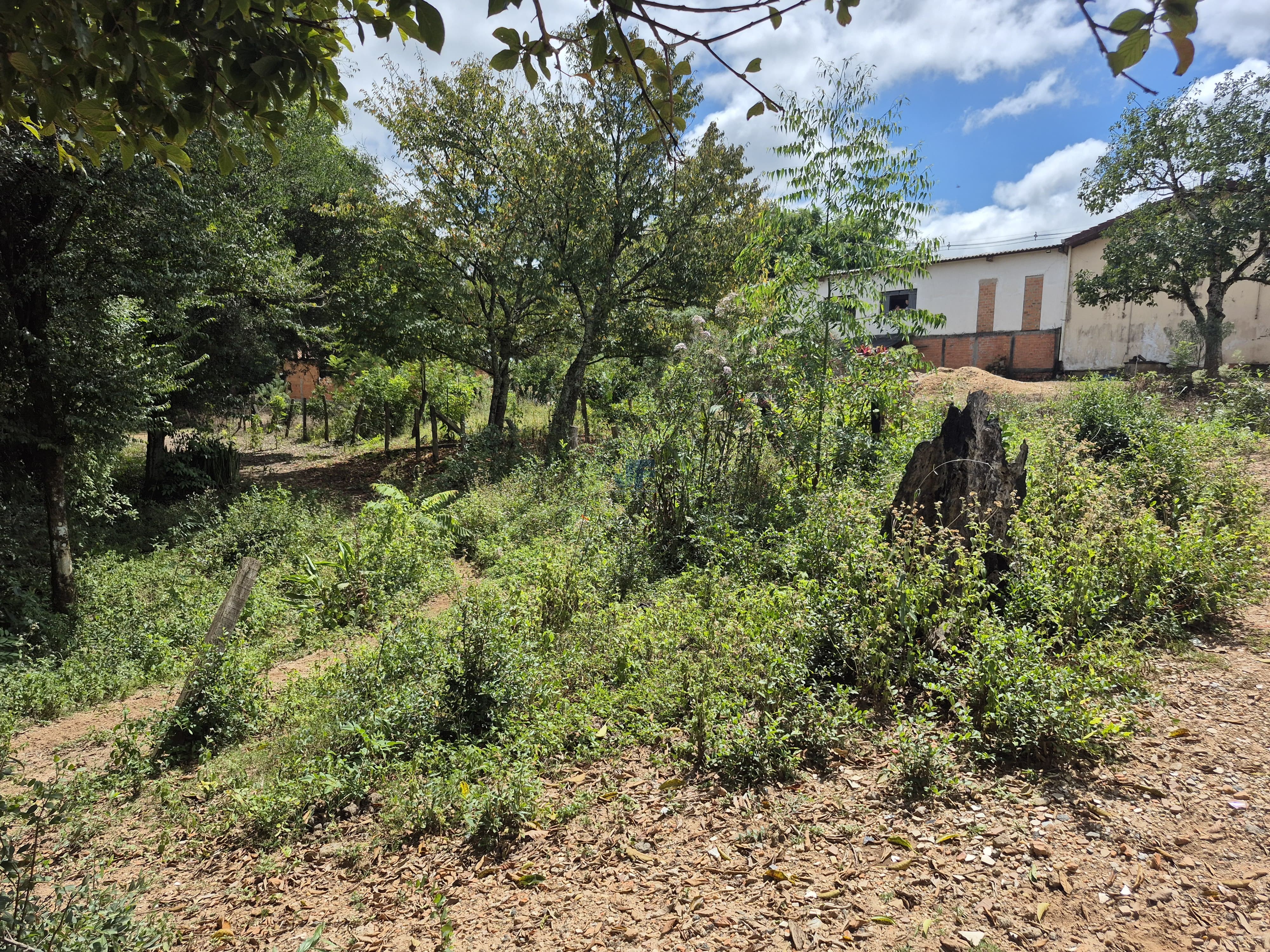 Chácara à Venda – Pugas de Cima, Palmeira/PR Área Total: 5.554,125 m²