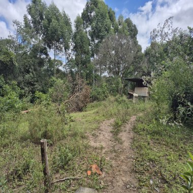 Chácara à Venda – Pugas de Cima, Palmeira/PR Área Total: 5.554,125 m²