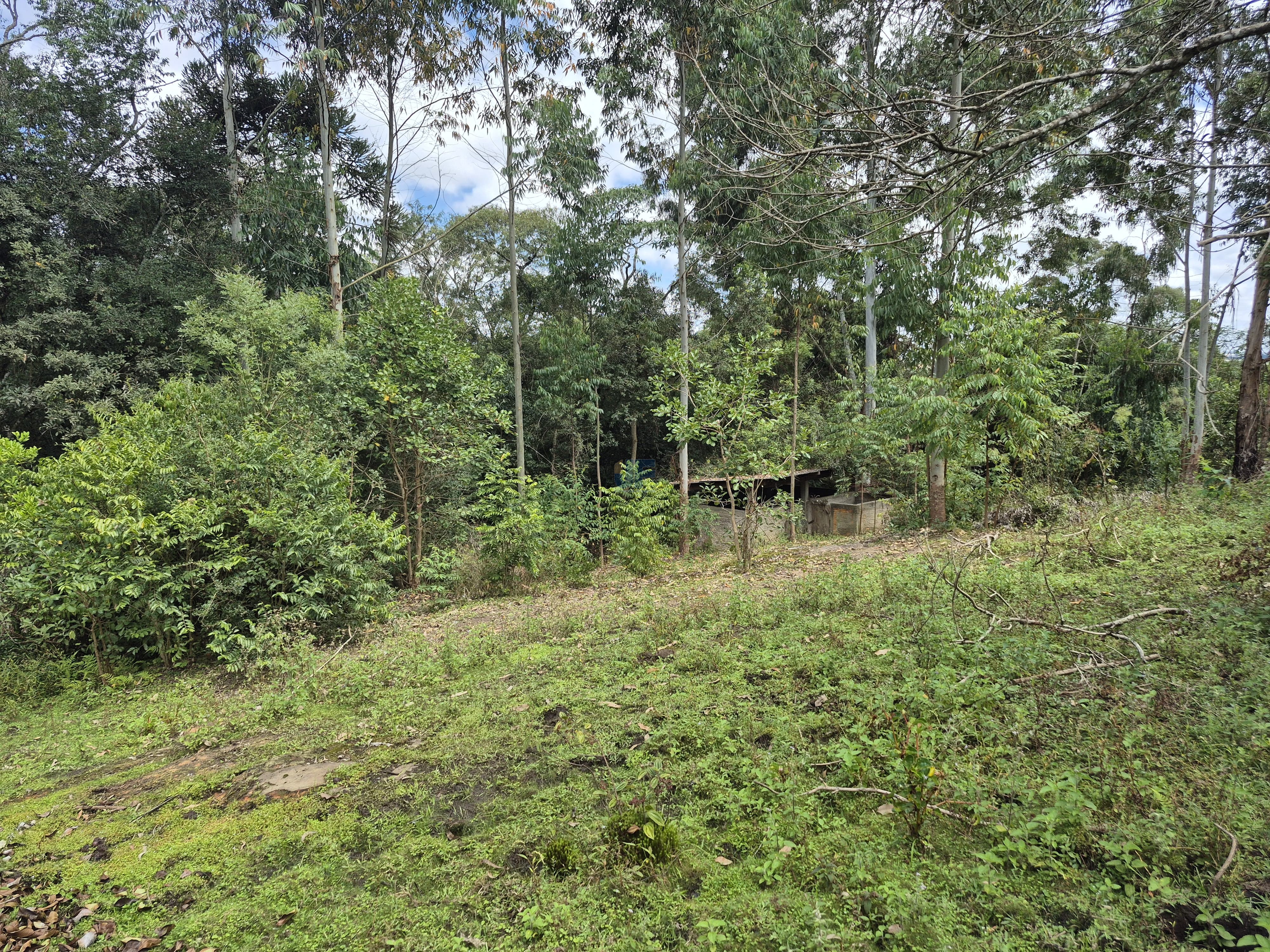 Chácara à Venda – Pugas de Cima, Palmeira/PR Área Total: 5.554,125 m²