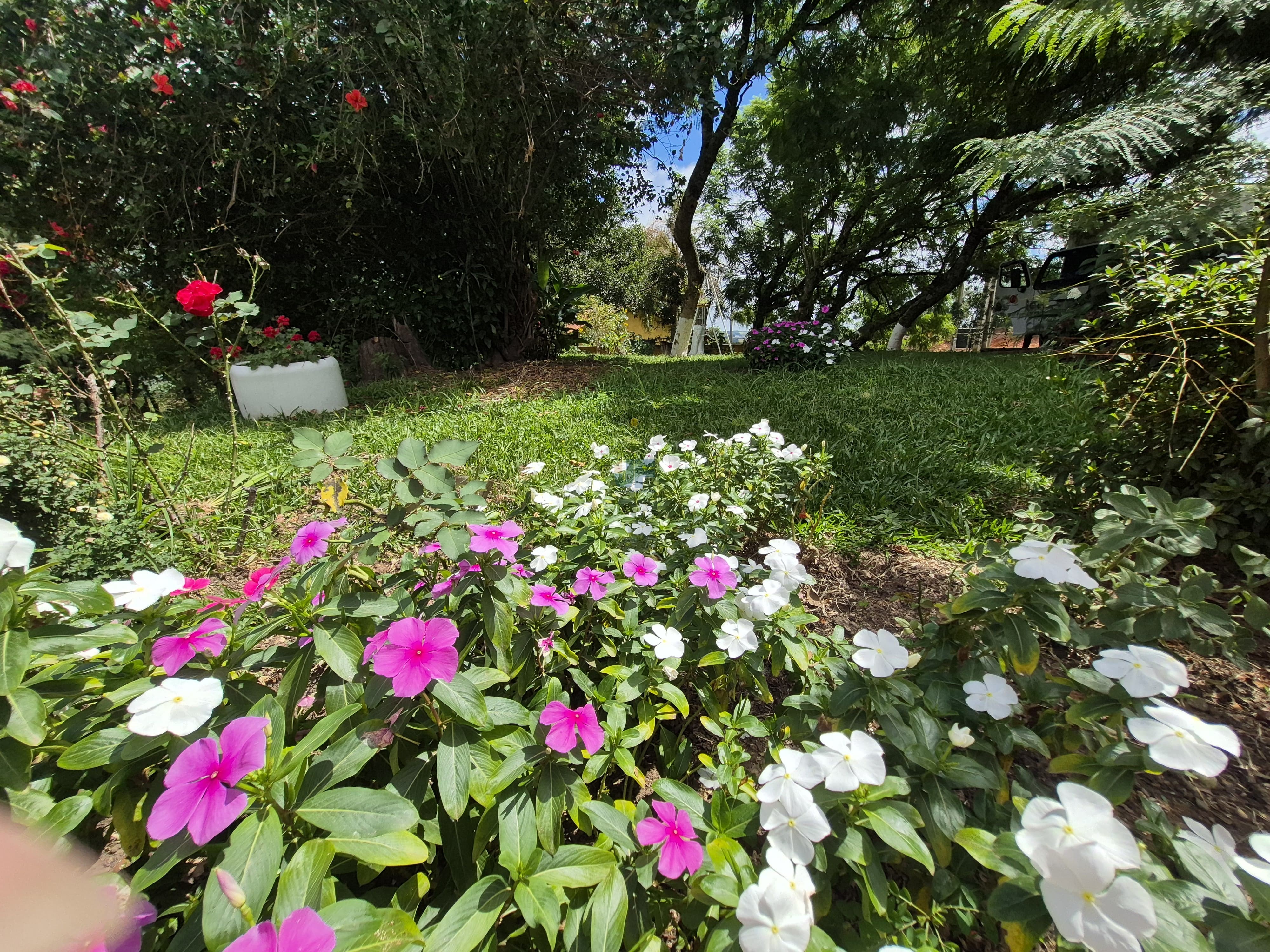 Chácara à Venda – Pugas de Cima, Palmeira/PR Área Total: 5.554,125 m²