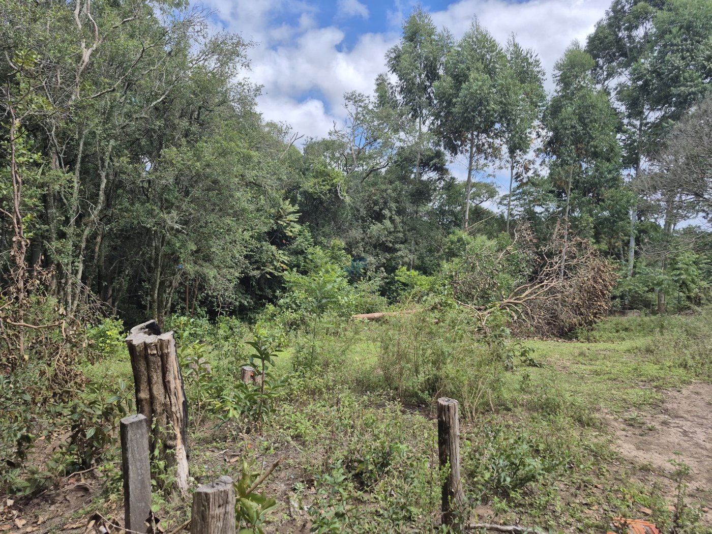 Chácara à Venda – Pugas de Cima, Palmeira/PR Área Total: 5.554,125 m²