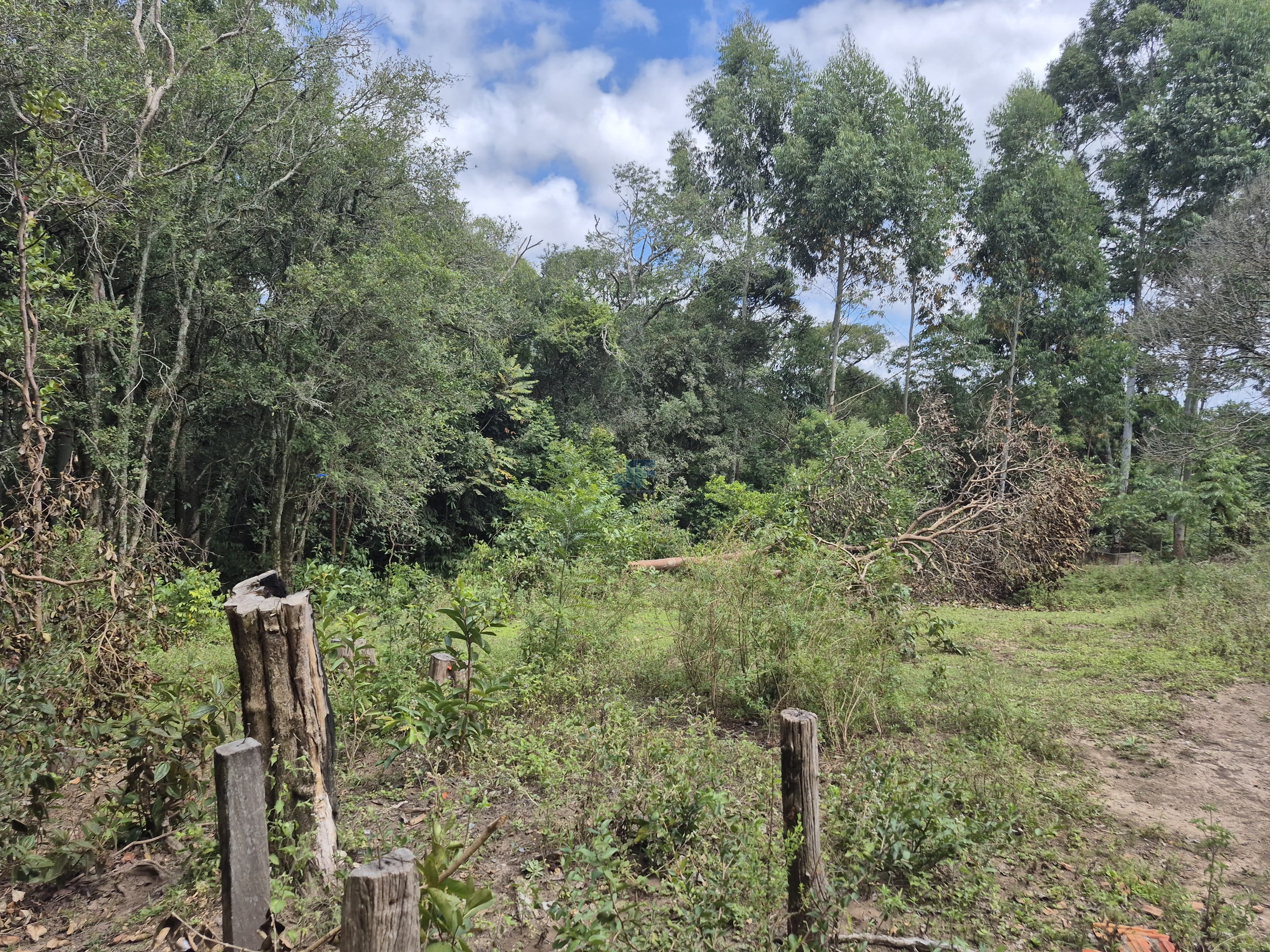 Chácara à Venda – Pugas de Cima, Palmeira/PR Área Total: 5.554,125 m²