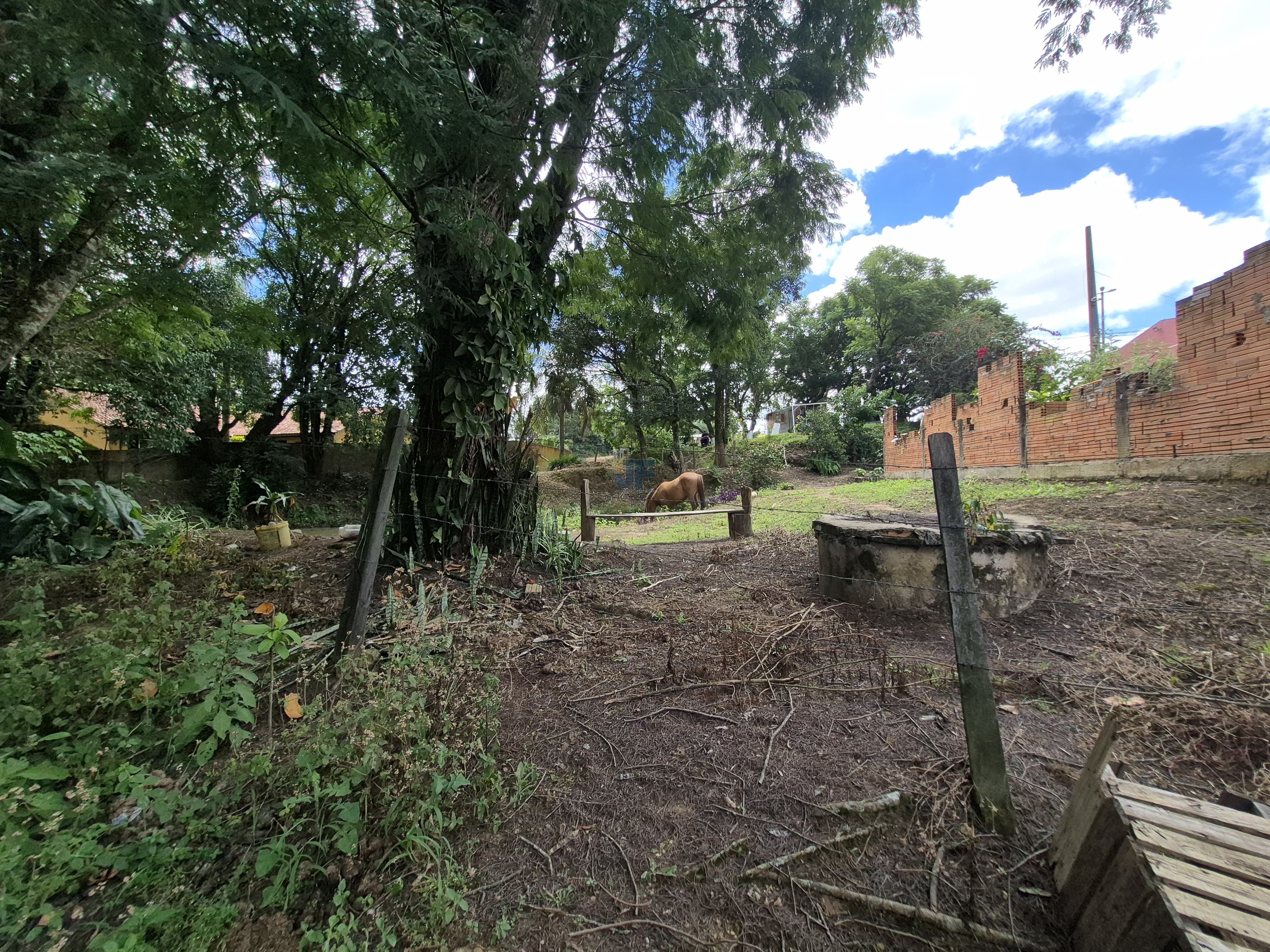 Chácara à Venda – Pugas de Cima, Palmeira/PR Área Total: 5.554,125 m²