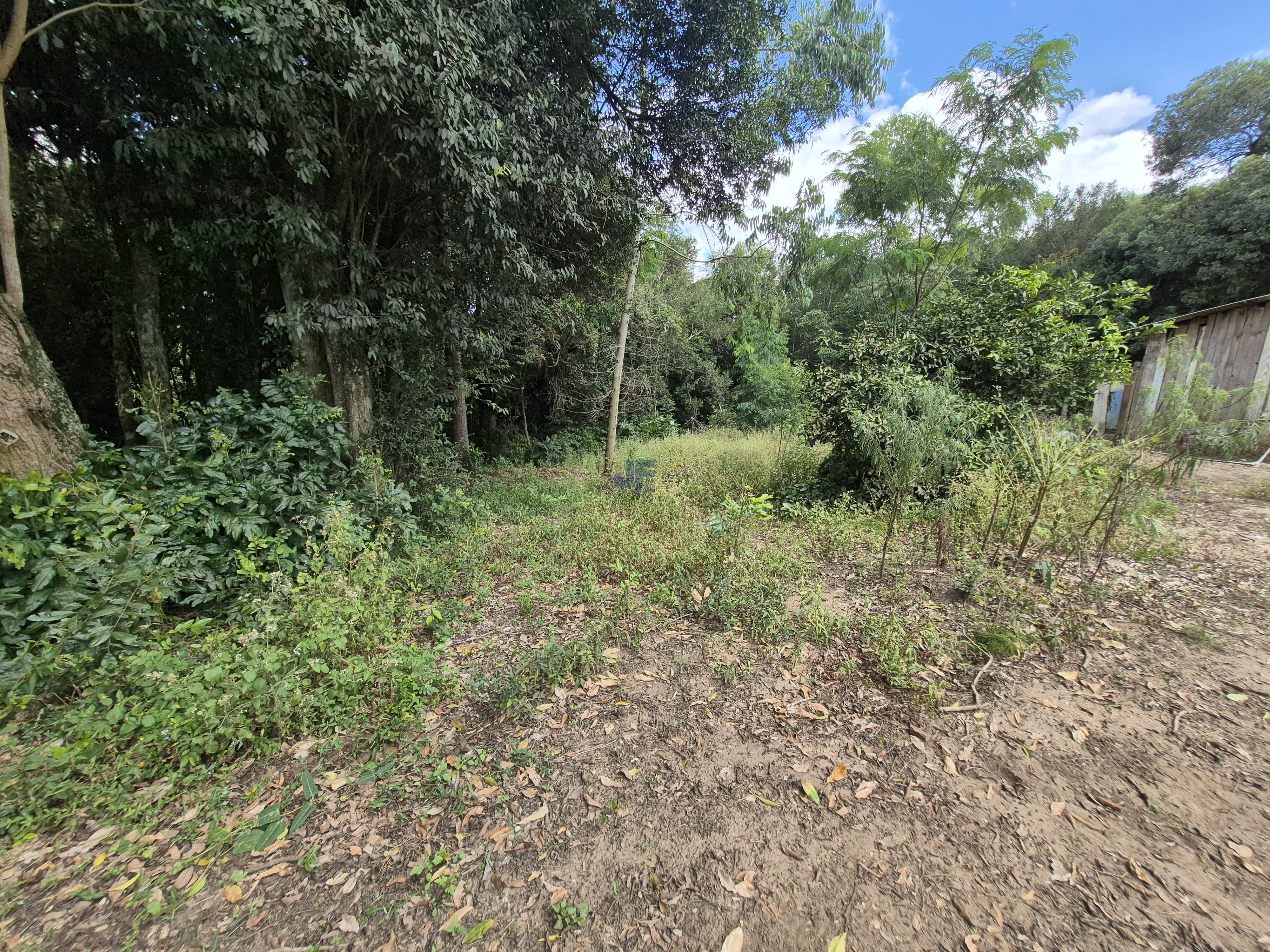 Chácara à Venda – Pugas de Cima, Palmeira/PR Área Total: 5.554,125 m²