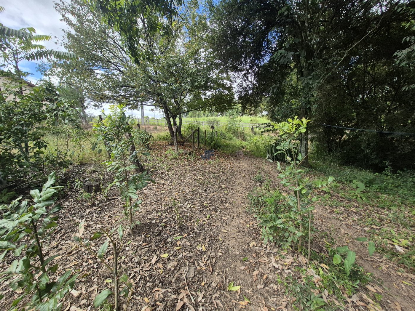 Chácara à Venda – Pugas de Cima, Palmeira/PR Área Total: 5.554,125 m²