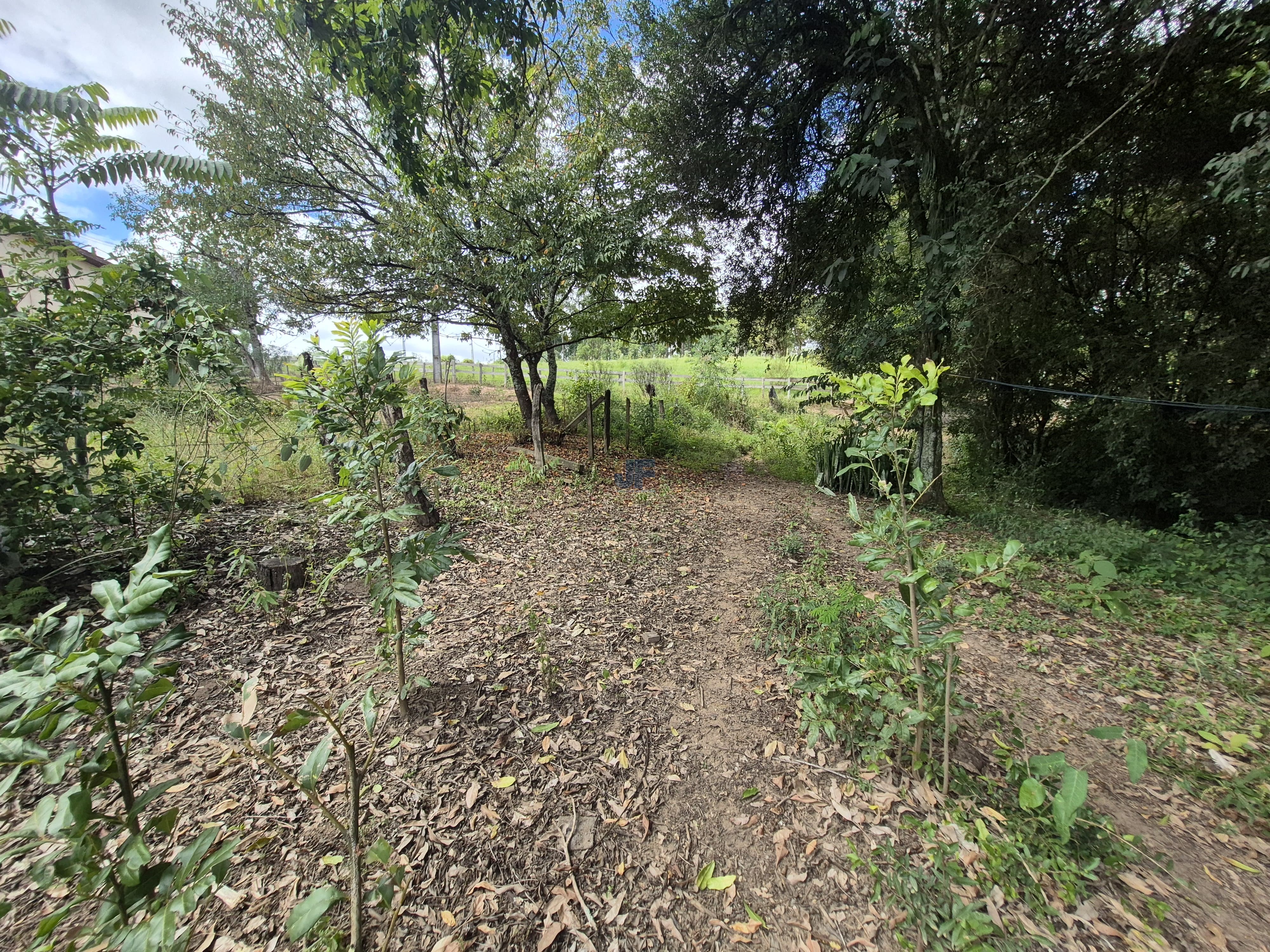 Chácara à Venda – Pugas de Cima, Palmeira/PR Área Total: 5.554,125 m²