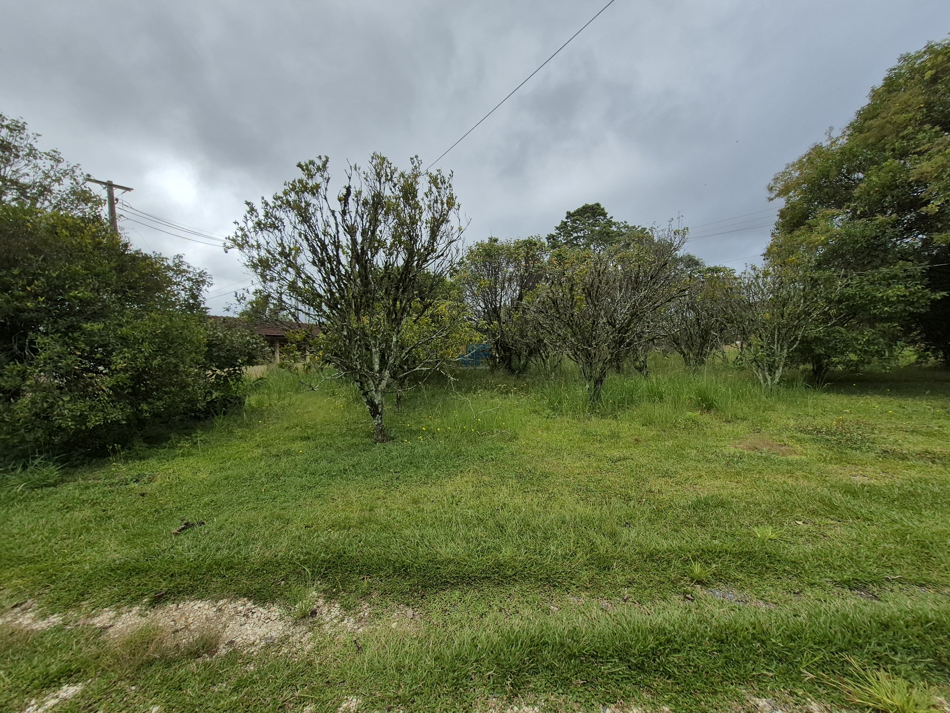 Área de terras  Rodovia BR 277 Km 165, Palmeira – PR. Localização privilegiada 