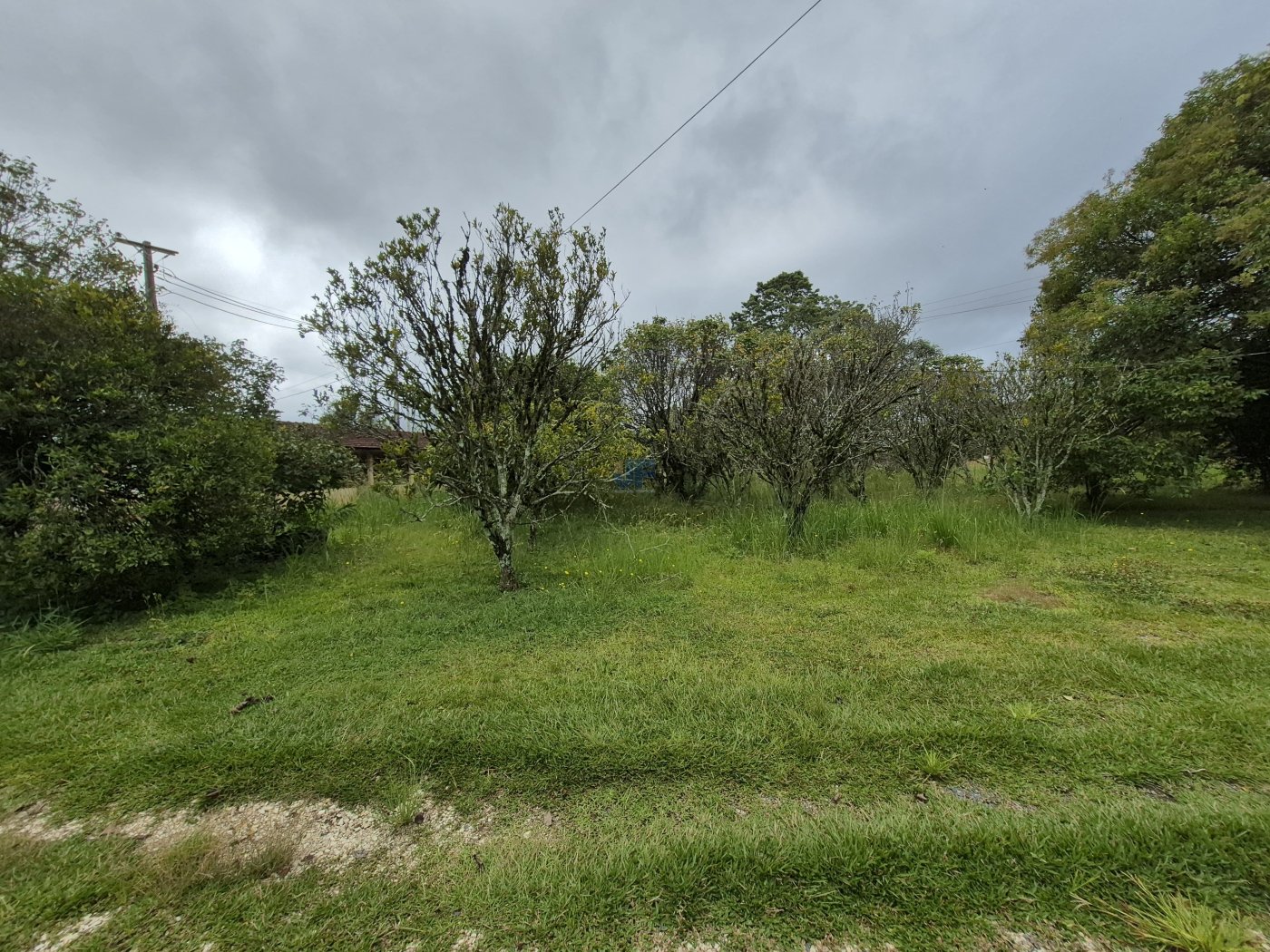 Terreno, 2 hectares - Foto 13