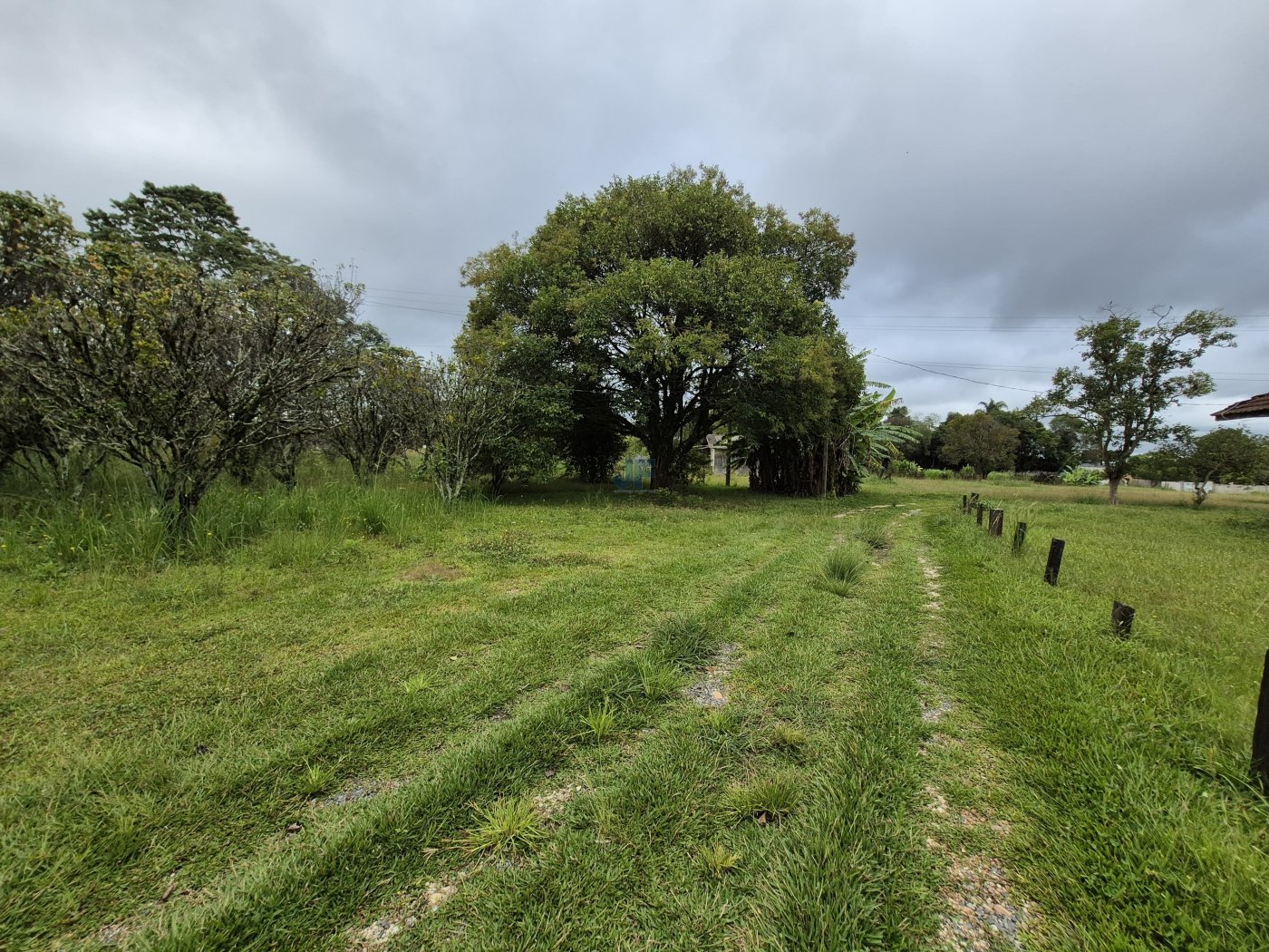 Terreno, 2 hectares - Foto 16