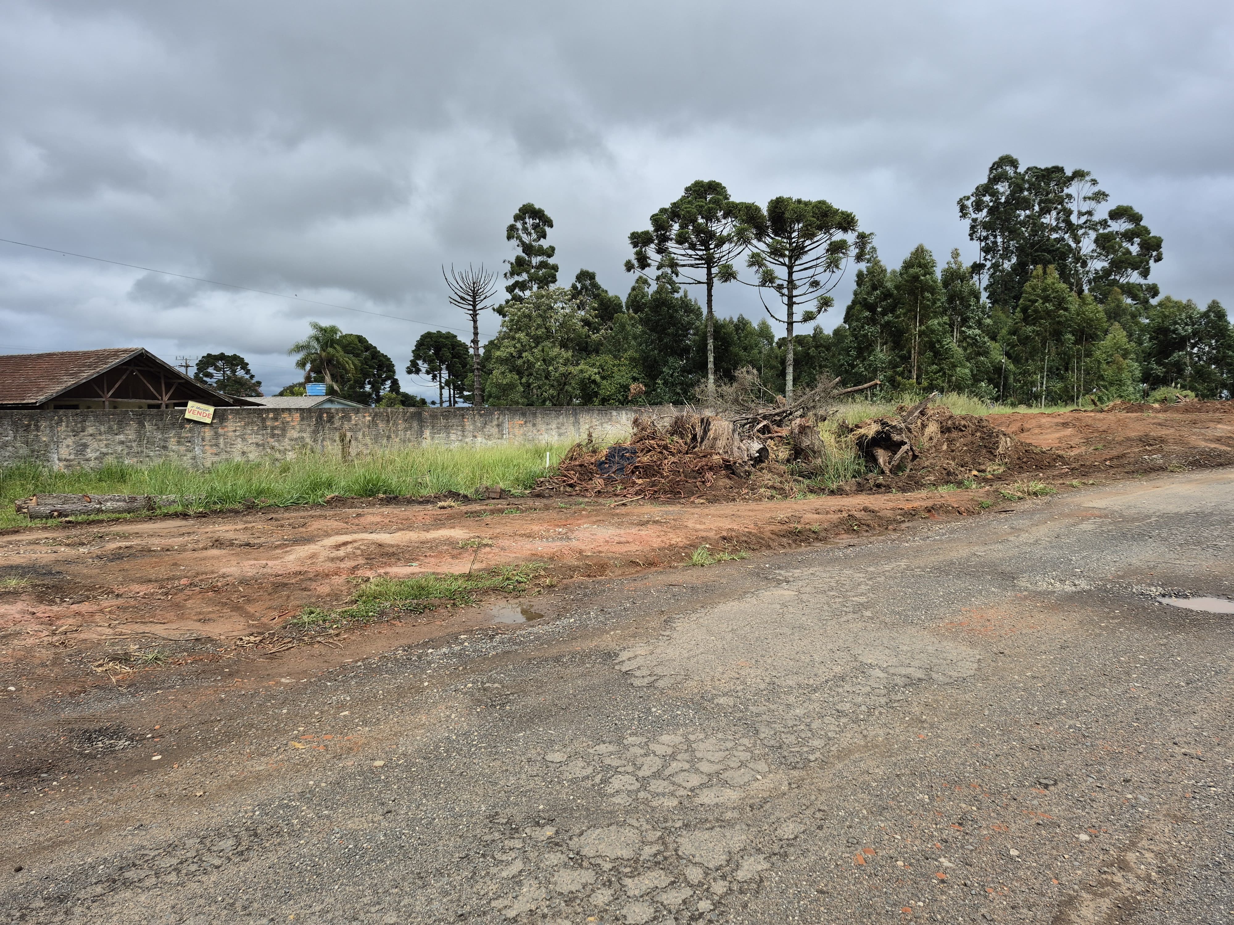 Área de terras  Rodovia BR 277 Km 165, Palmeira – PR. Localização privilegiada 