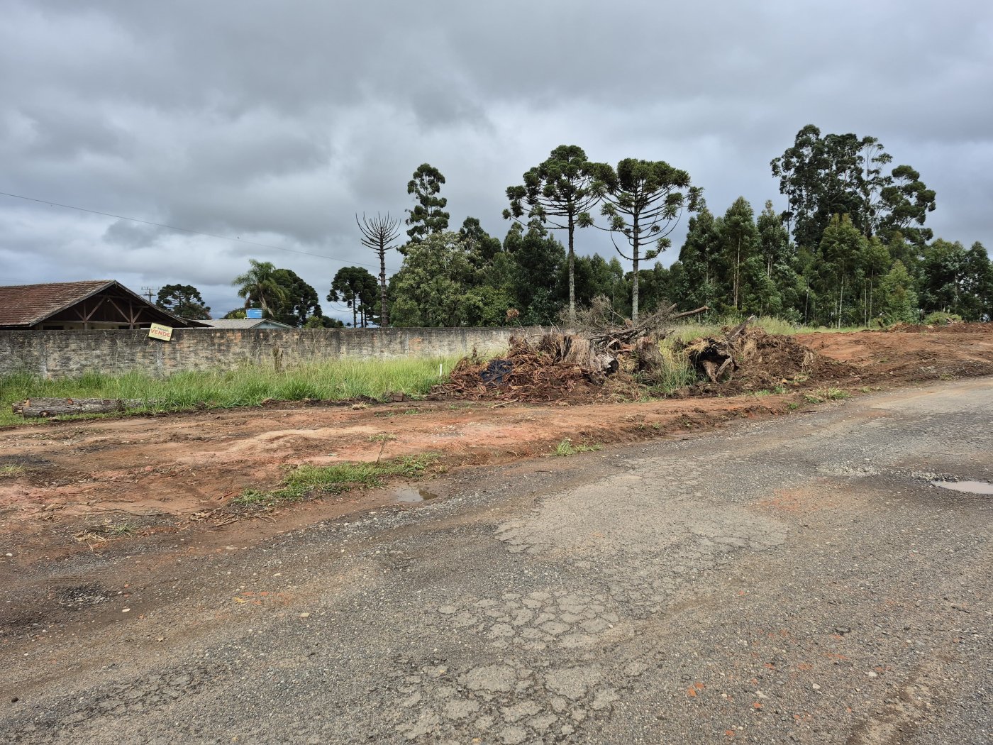 Terreno, 2 hectares - Foto 4
