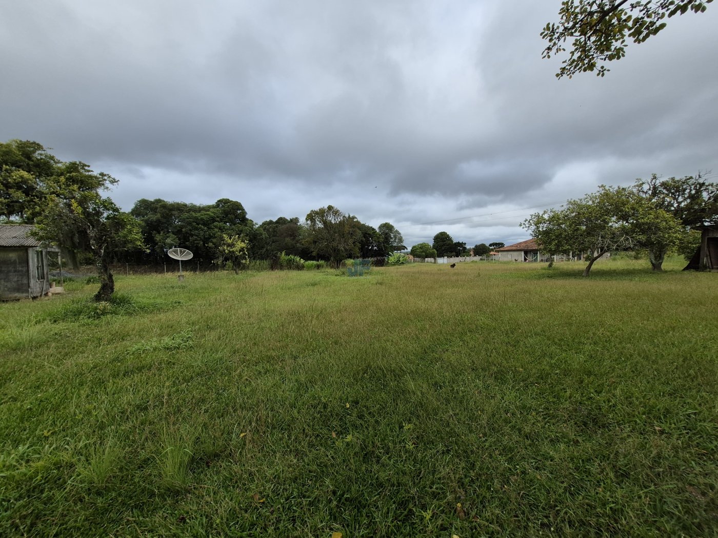 Terreno, 2 hectares - Foto 7