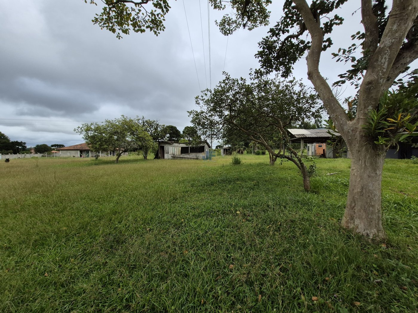 Terreno, 2 hectares - Foto 8