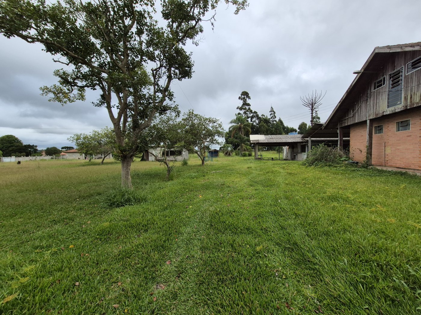 Terreno, 2 hectares - Foto 9