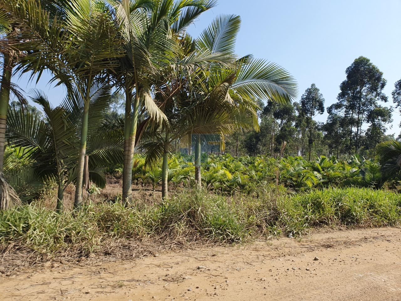 Terreno com 680.000 m² o mesmo está localizado as margens da BR-470  NAVEGANTES.
