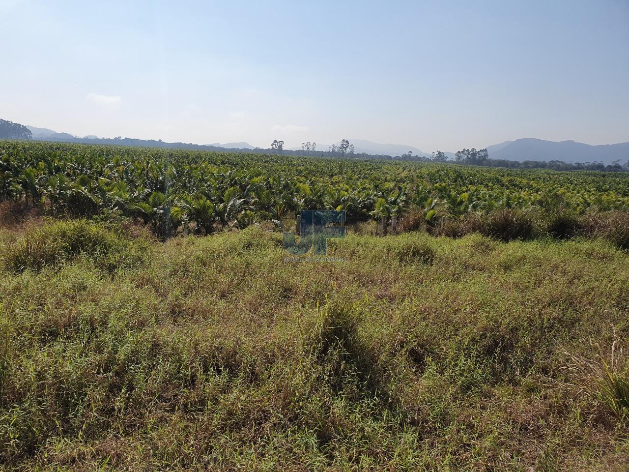Terreno com 680.000 m² o mesmo está localizado as margens da BR-470  NAVEGANTES.
