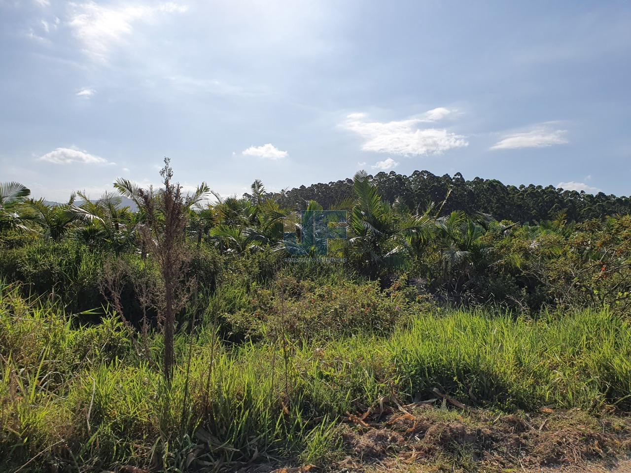Terreno com 680.000 m² o mesmo está localizado as margens da BR-470  NAVEGANTES.