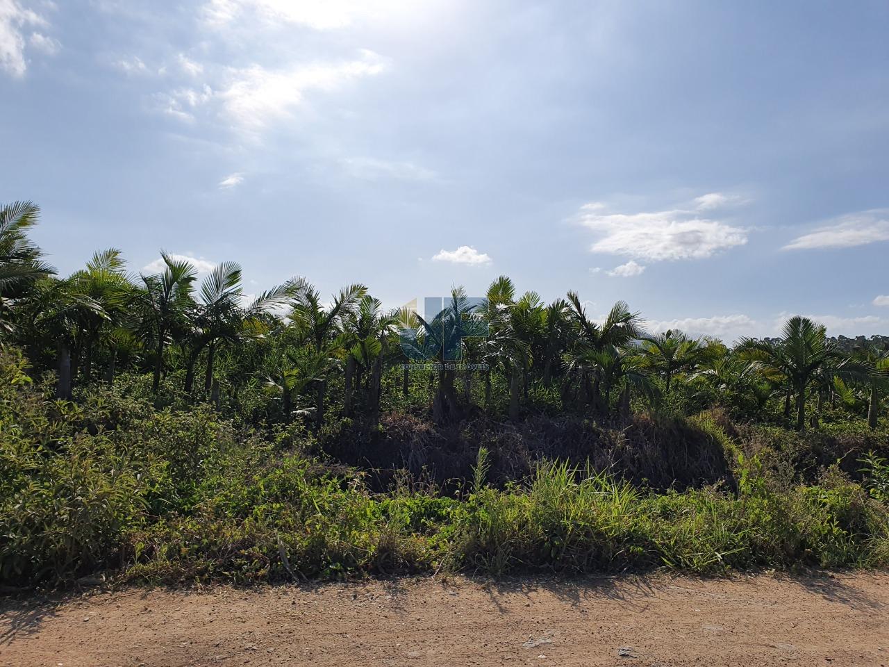 Terreno com 680.000 m² o mesmo está localizado as margens da BR-470  NAVEGANTES.