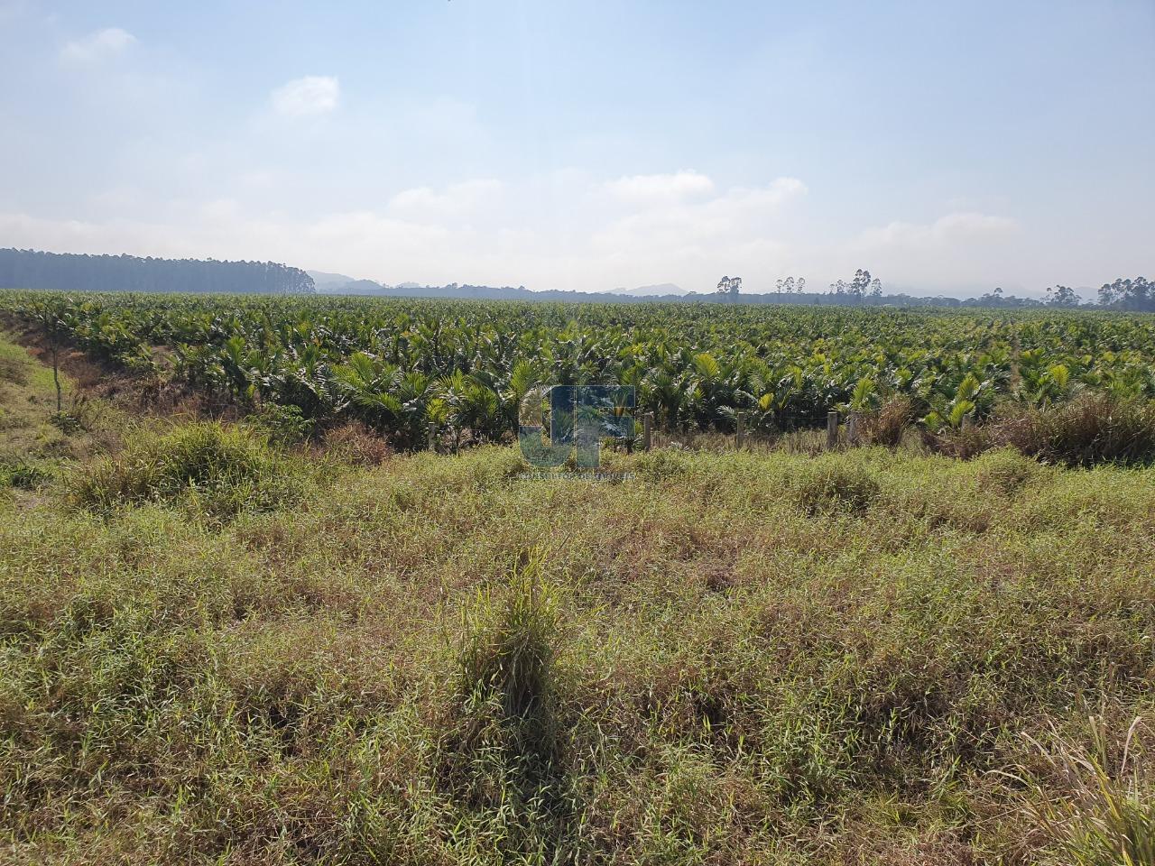 Terreno com 680.000 m² o mesmo está localizado as margens da BR-470  NAVEGANTES.