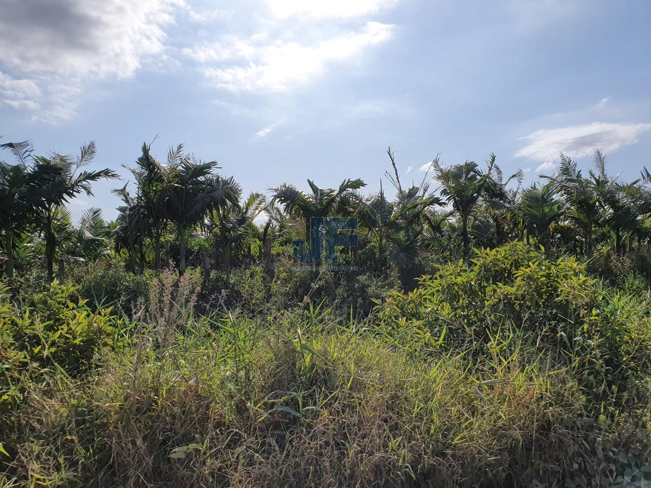 Terreno com 680.000 m² o mesmo está localizado as margens da BR-470  NAVEGANTES.
