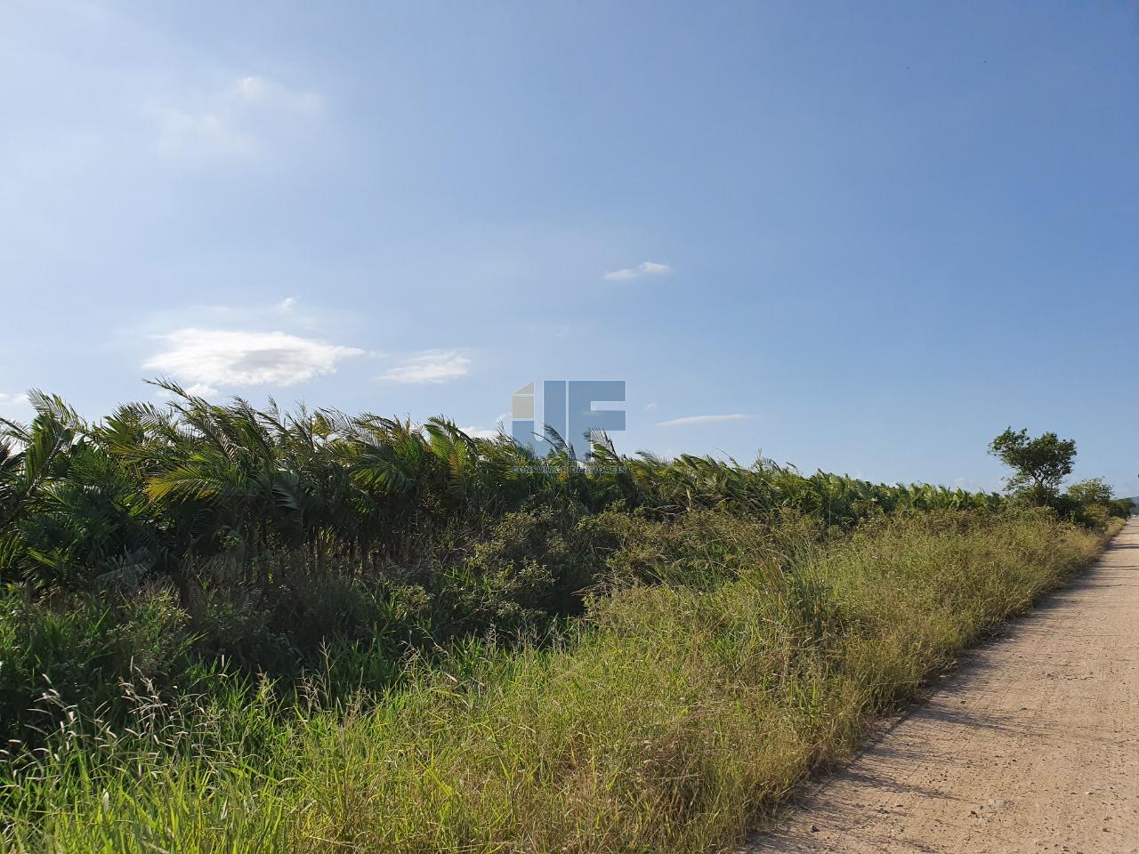 Terreno com 680.000 m² o mesmo está localizado as margens da BR-470  NAVEGANTES.