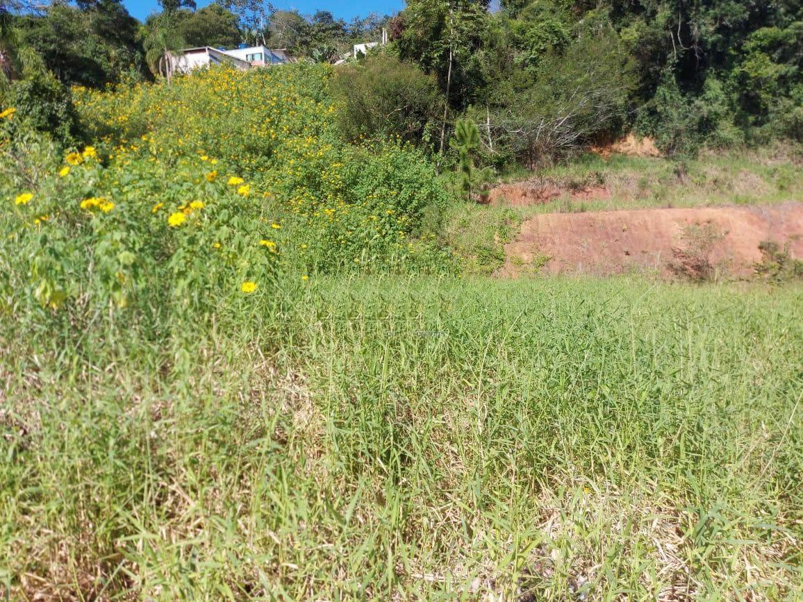 Terreno à venda, 1932m² - Foto 4