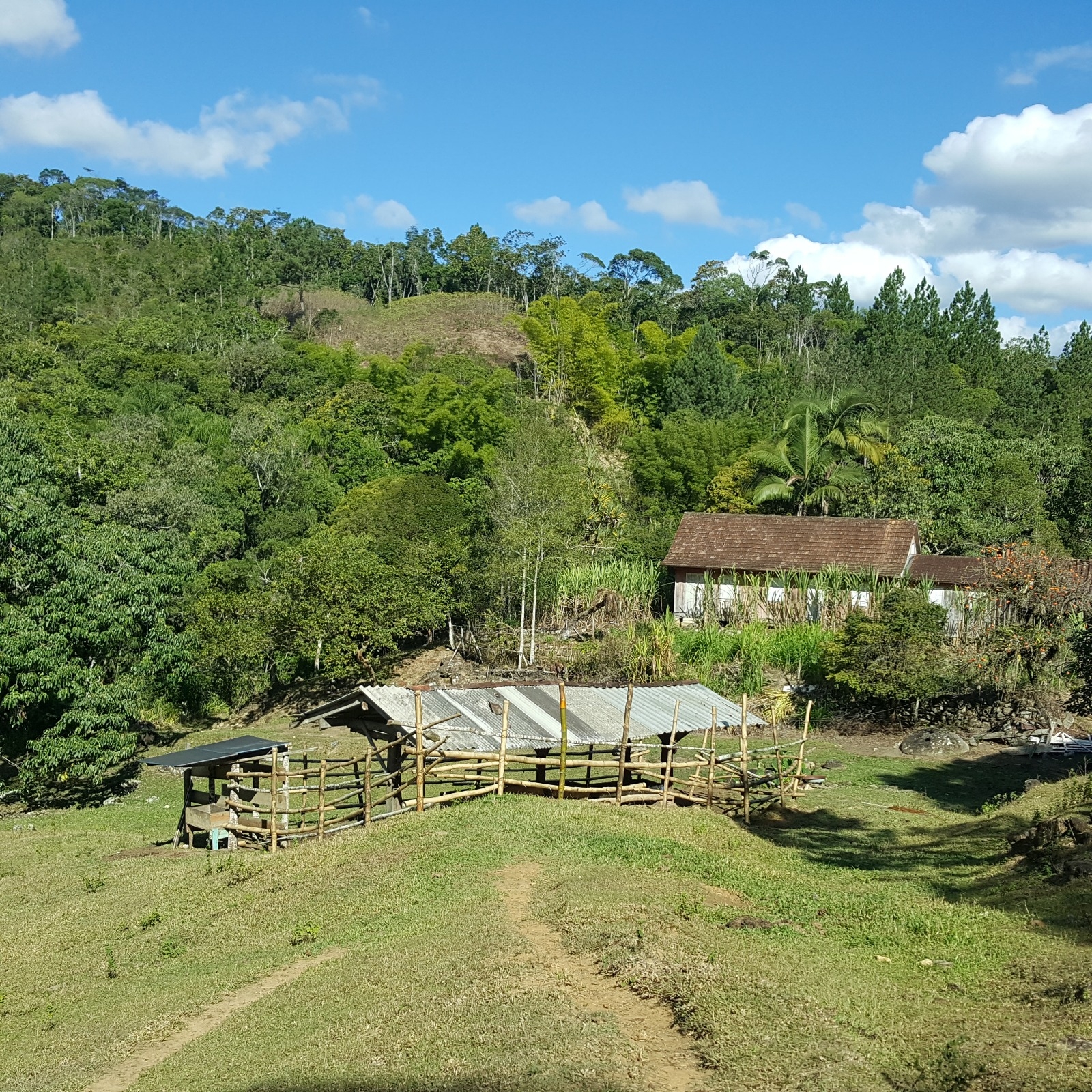 Fazenda à venda, 431637m² - Foto 1