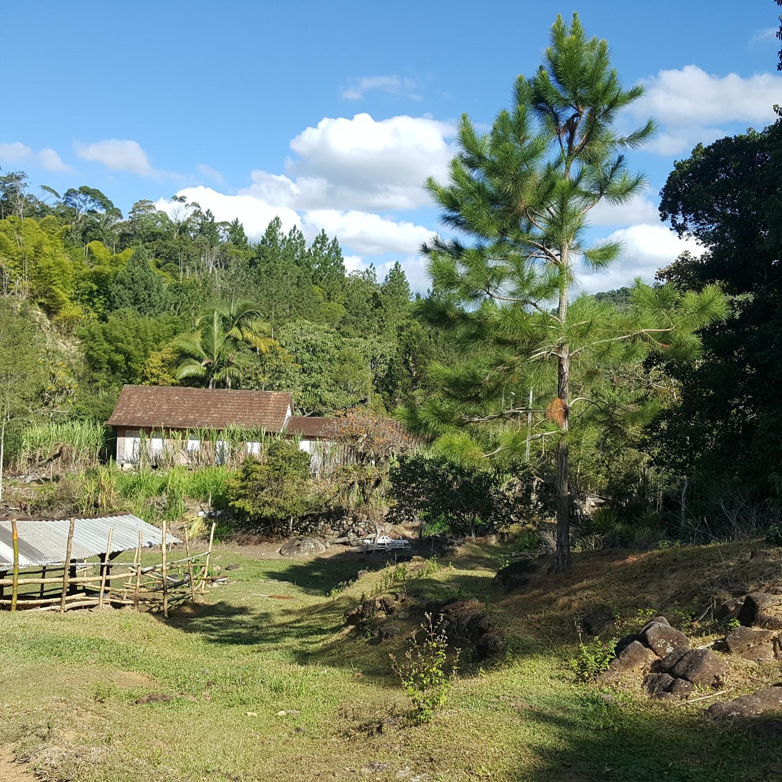 Fazenda à venda, 431637m² - Foto 10