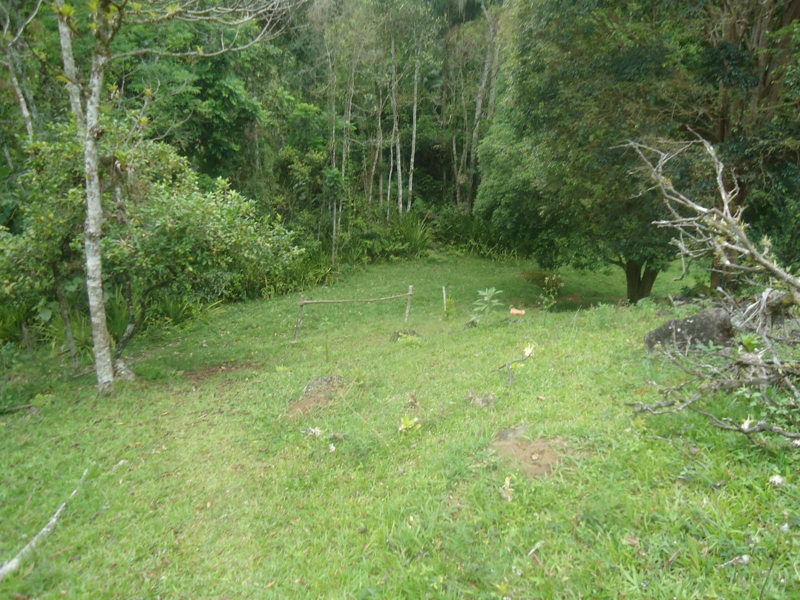 Fazenda à venda, 431637m² - Foto 11