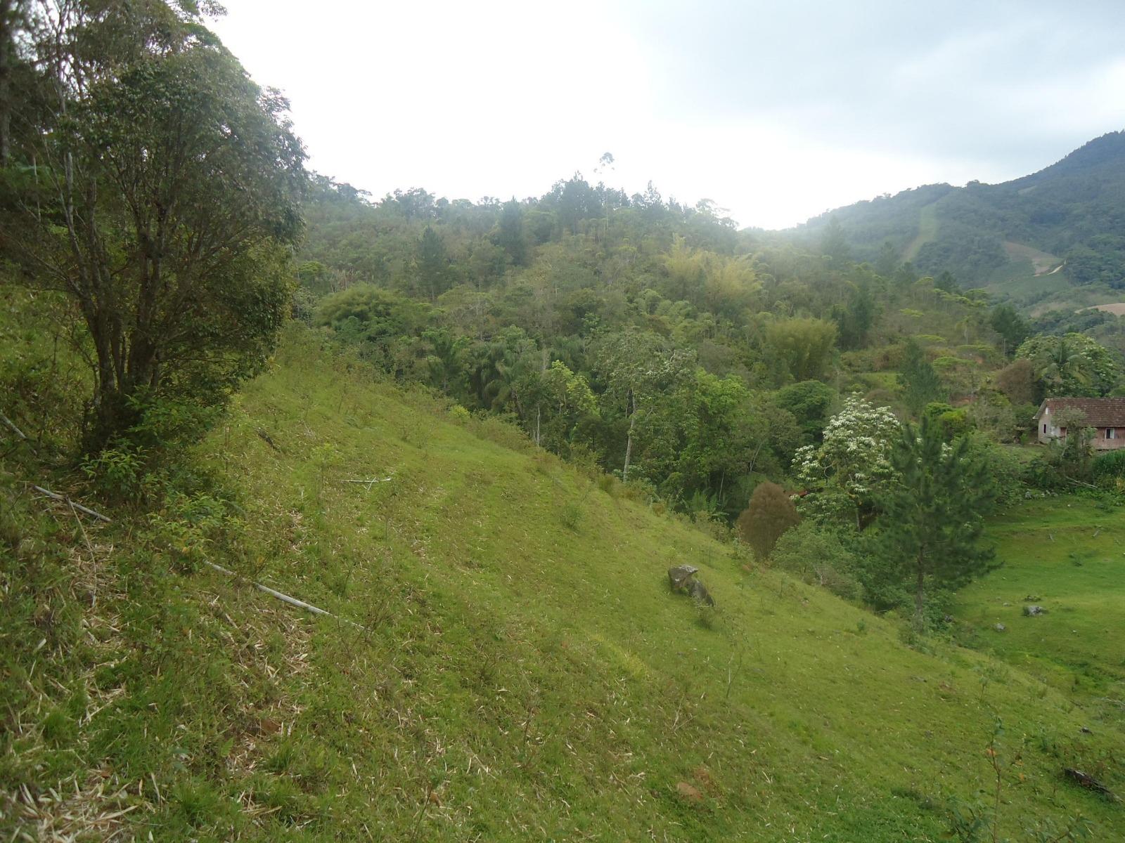 Fazenda à venda, 431637m² - Foto 12