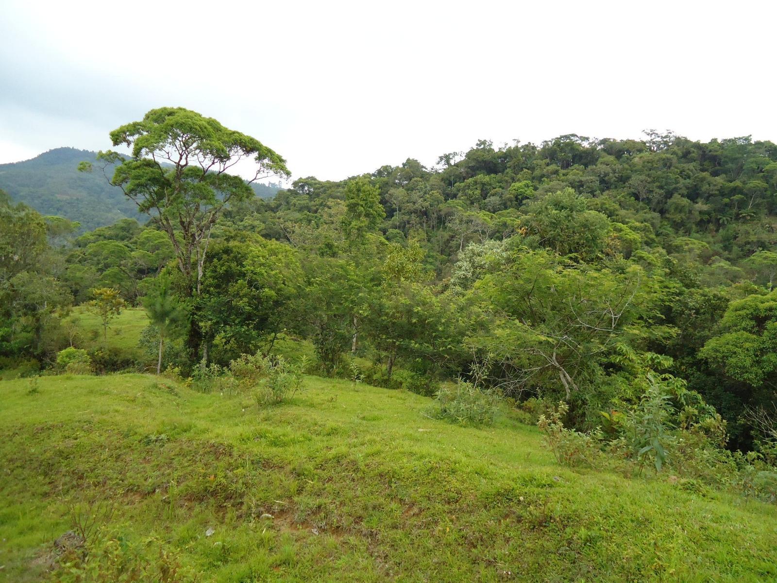 Fazenda à venda, 431637m² - Foto 14