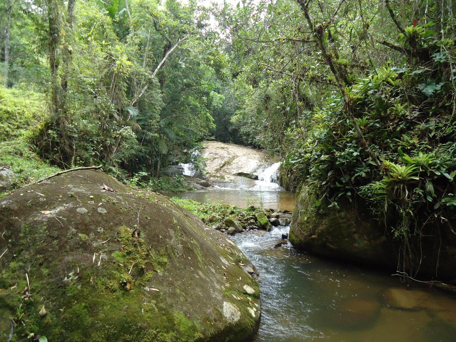 Fazenda à venda, 431637m² - Foto 16