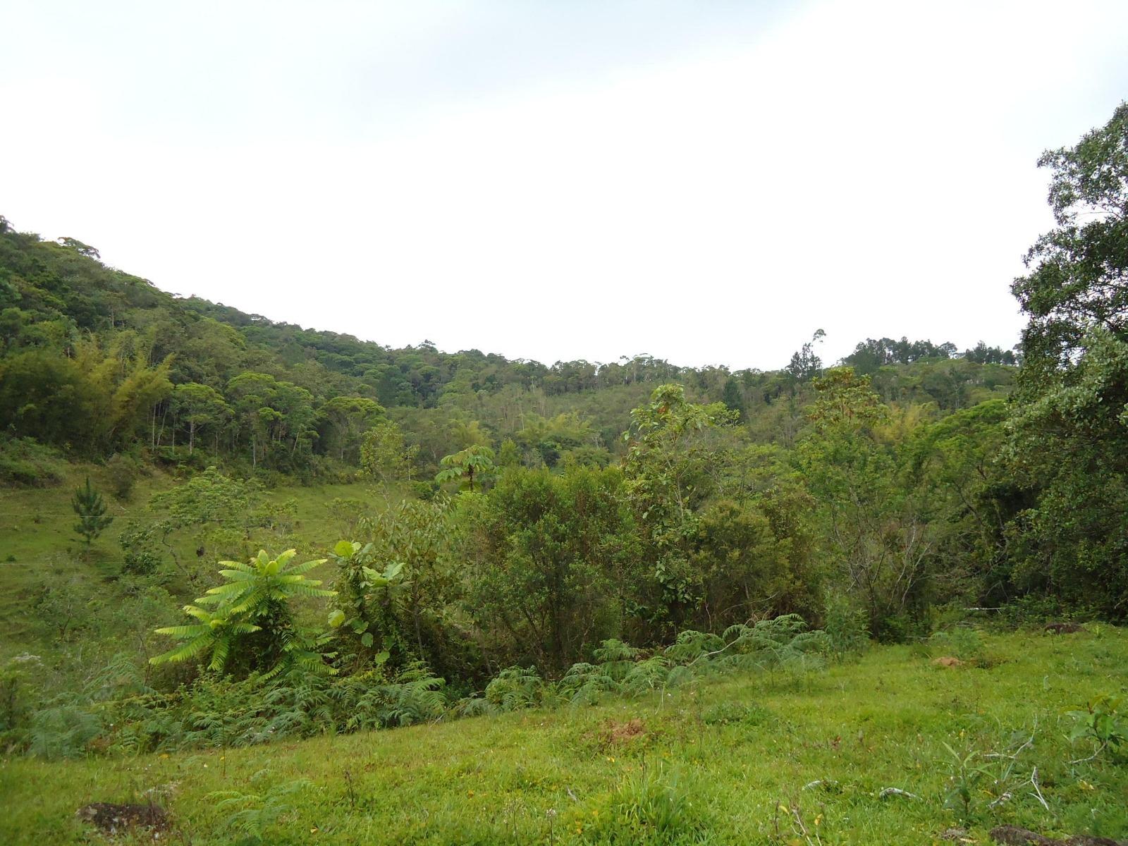 Fazenda à venda, 431637m² - Foto 17