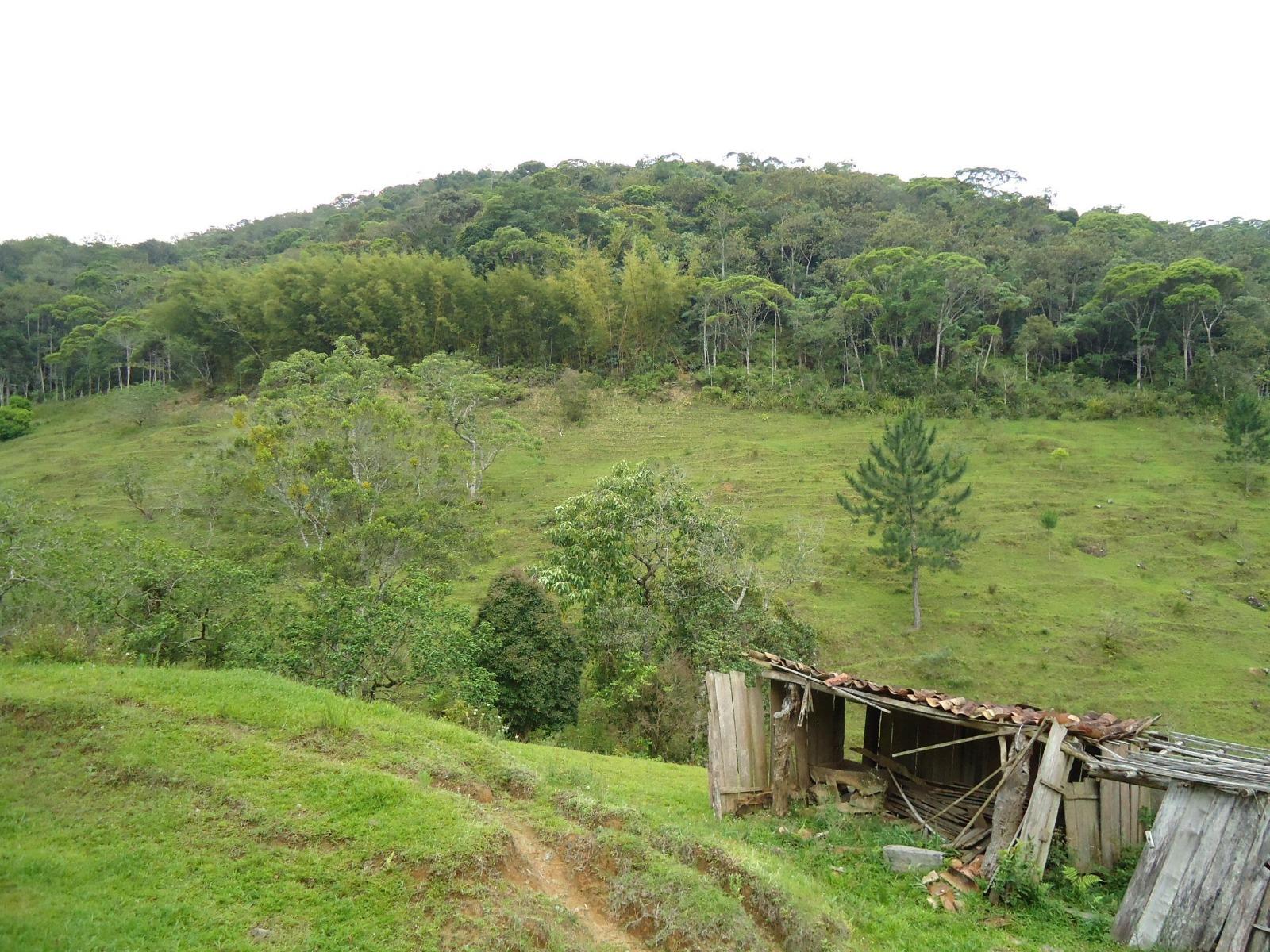 Fazenda à venda, 431637m² - Foto 19