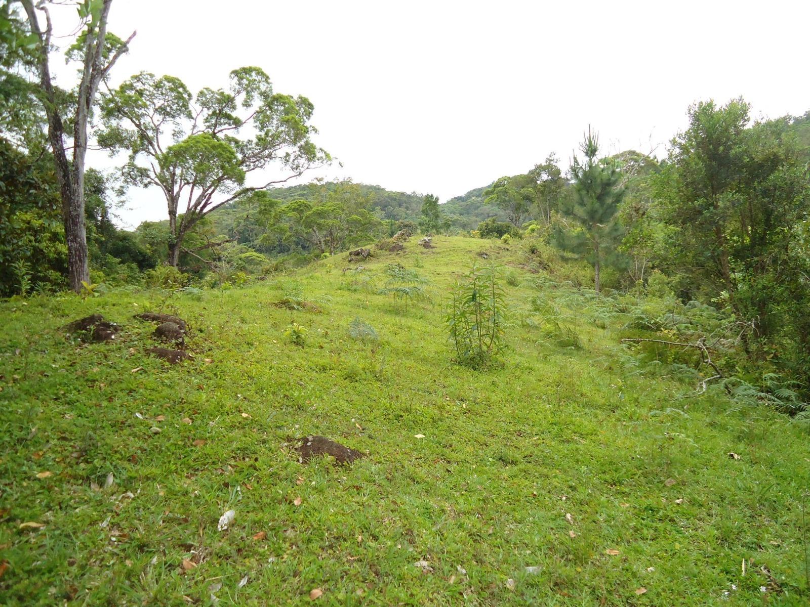 Fazenda à venda, 431637m² - Foto 20