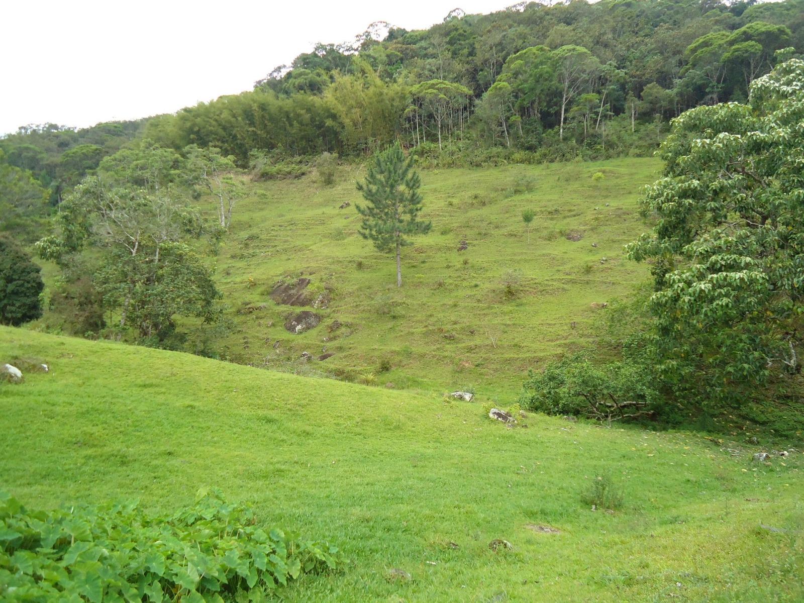 Fazenda à venda, 431637m² - Foto 21