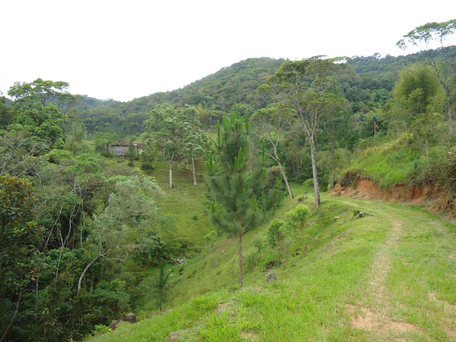 Fazenda à venda, 431637m² - Foto 22