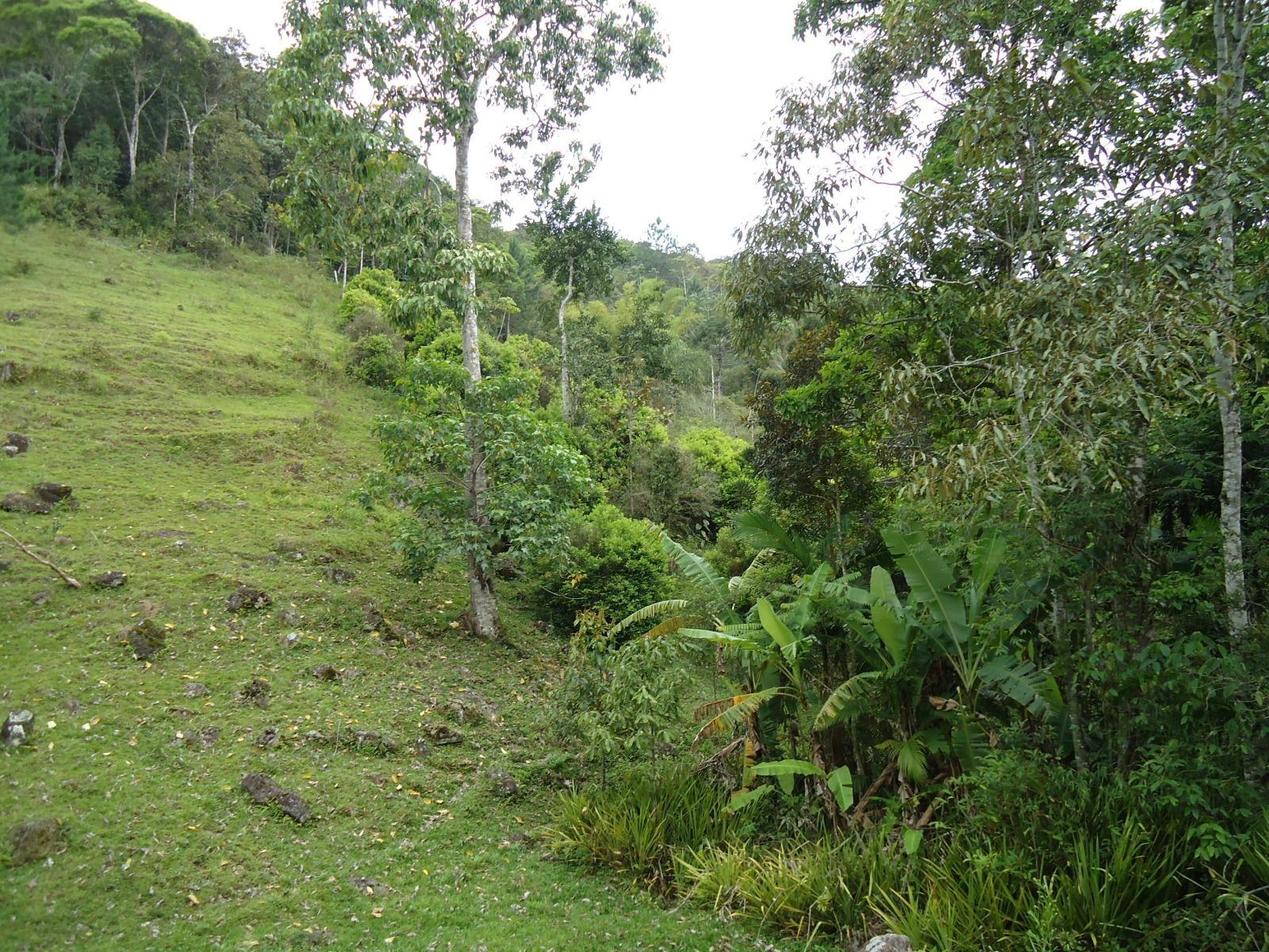 Fazenda à venda, 431637m² - Foto 23