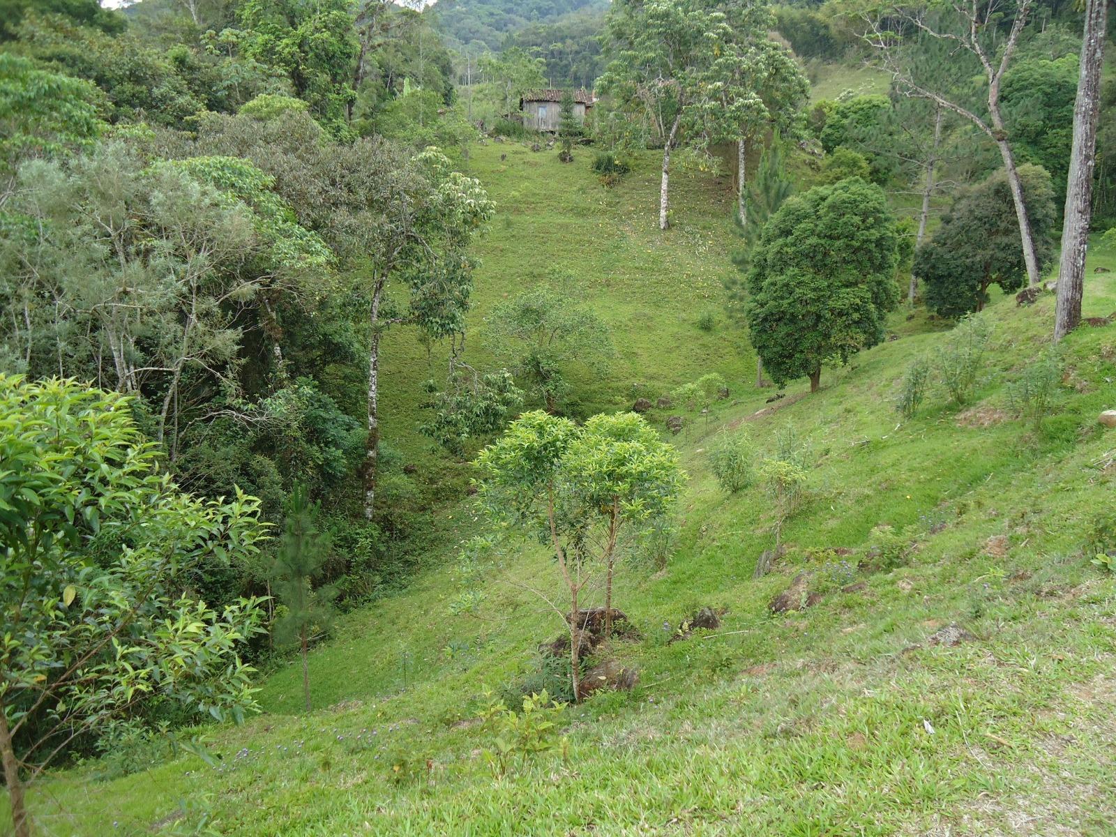 Fazenda à venda, 431637m² - Foto 24